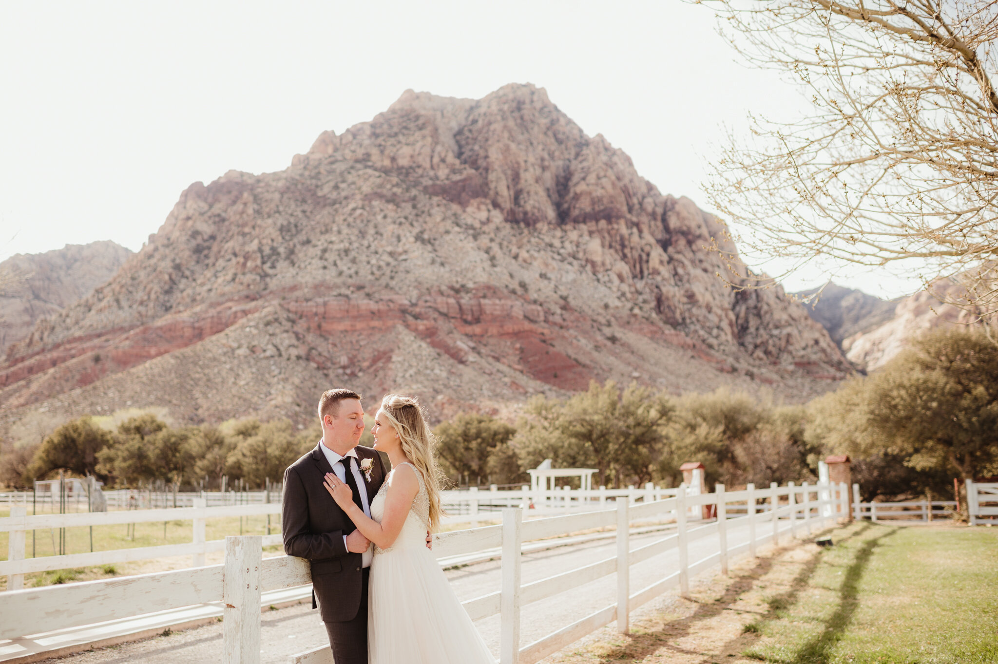 Spring Mountain Ranch Wedding Photos - Amber Garrett Photography - 001.jpg