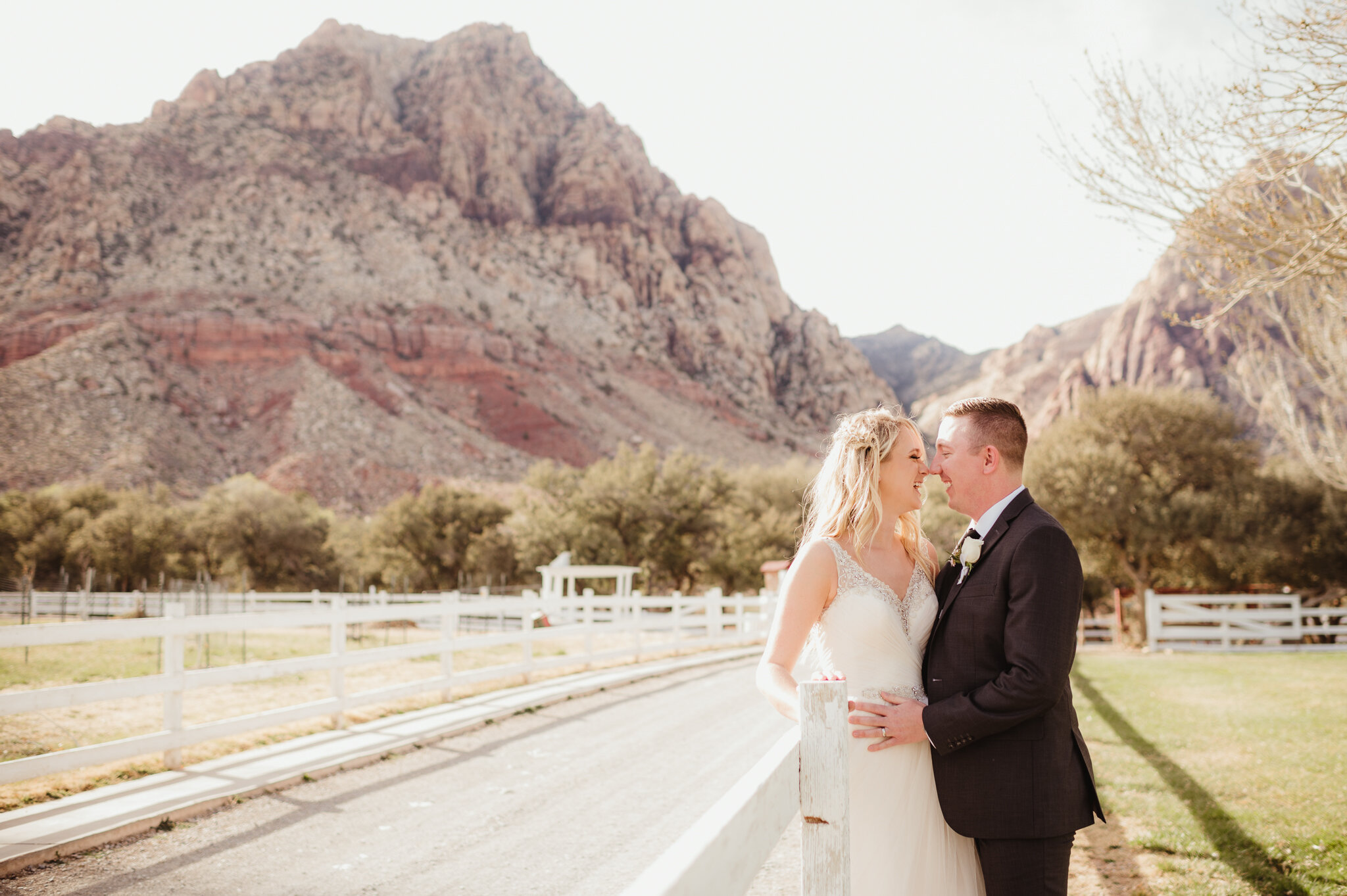 Spring Mountain Ranch Wedding Photos - Amber Garrett Photography - 006.jpg