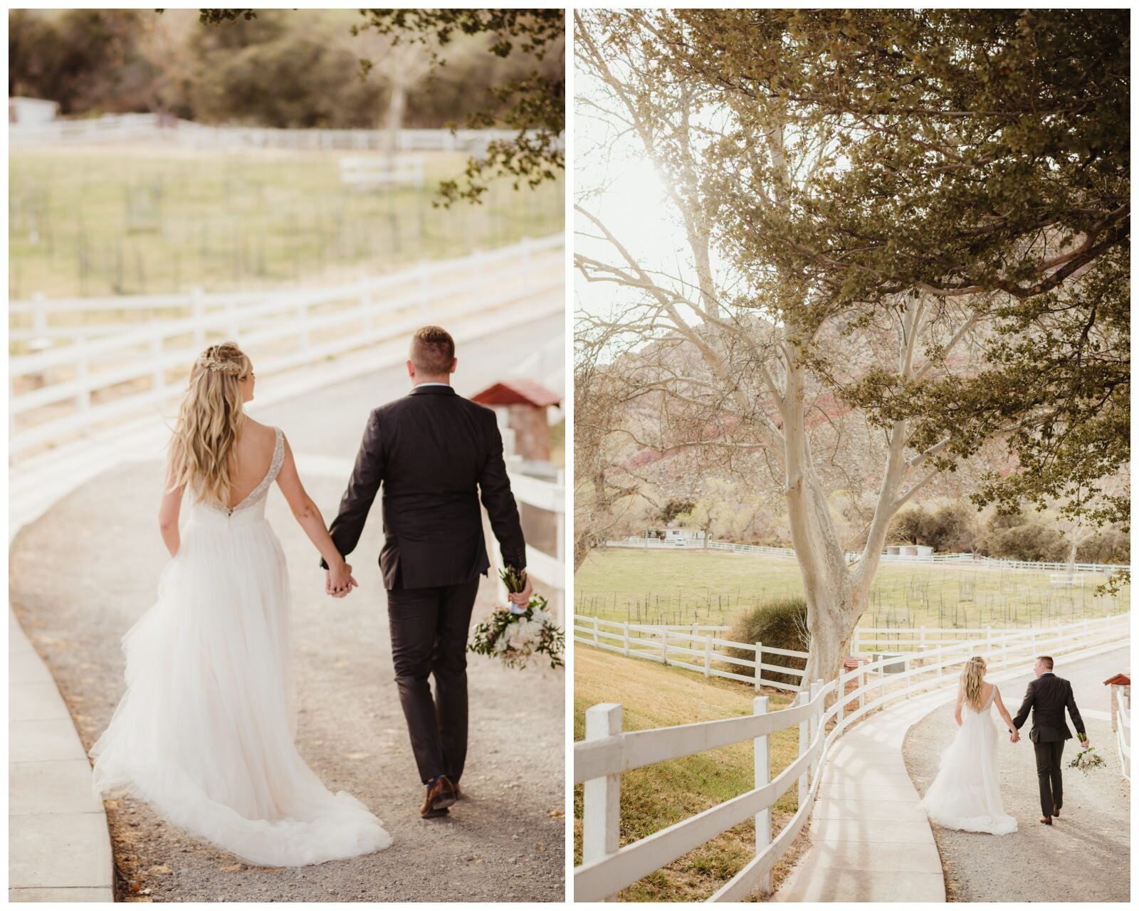 Spring Mountain Ranch Wedding Photos - Amber Garrett Photography - 023.jpg