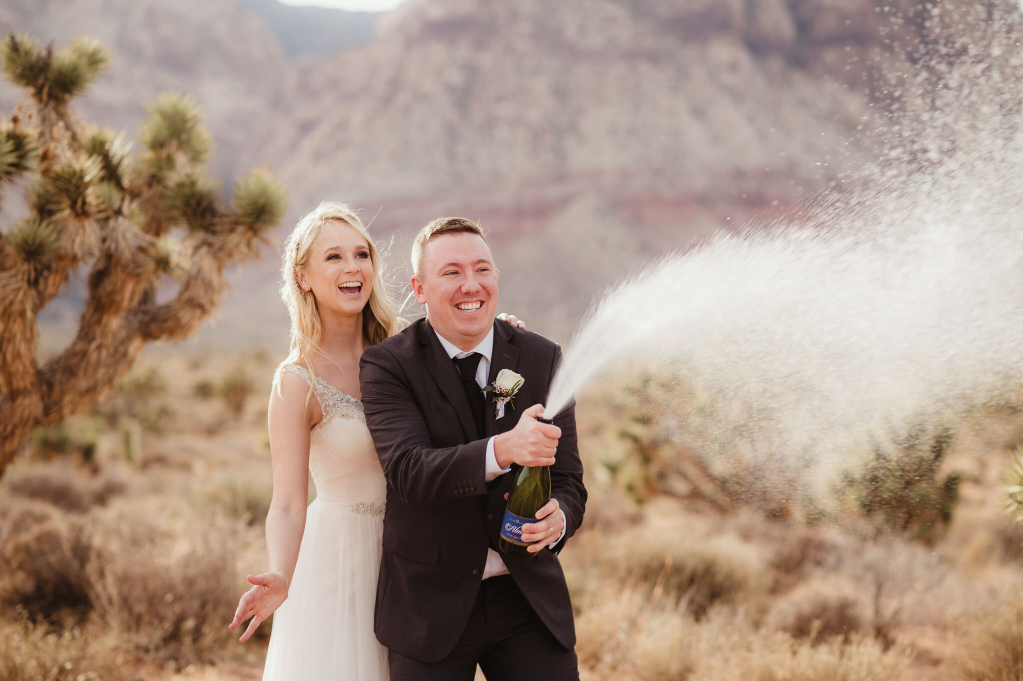 Spring Mountain Ranch Wedding Photos - Amber Garrett Photography - 026.jpg