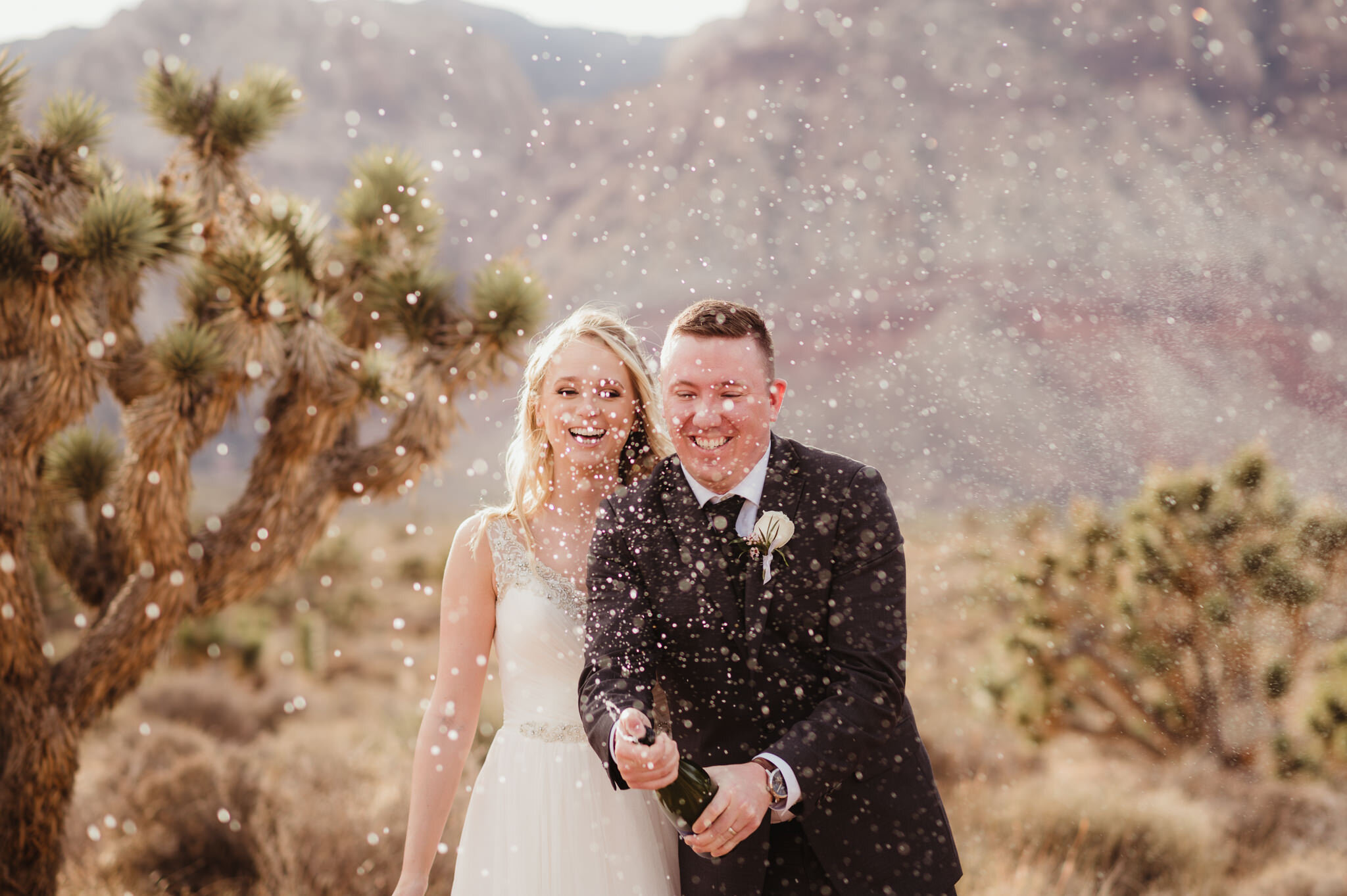 Spring Mountain Ranch Wedding Photos - Amber Garrett Photography - 028.jpg