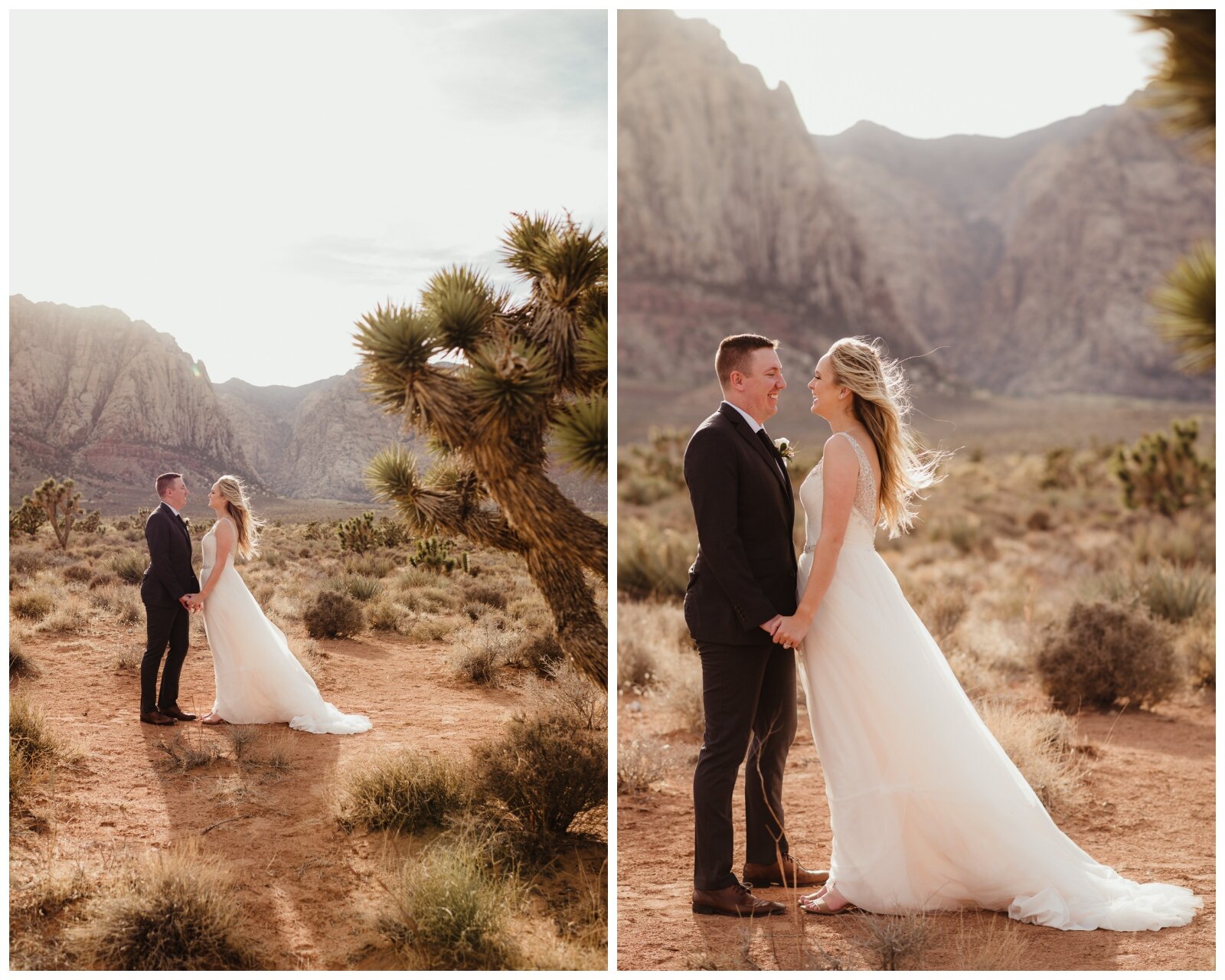Spring Mountain Ranch Wedding Photos - Amber Garrett Photography - 031.jpg