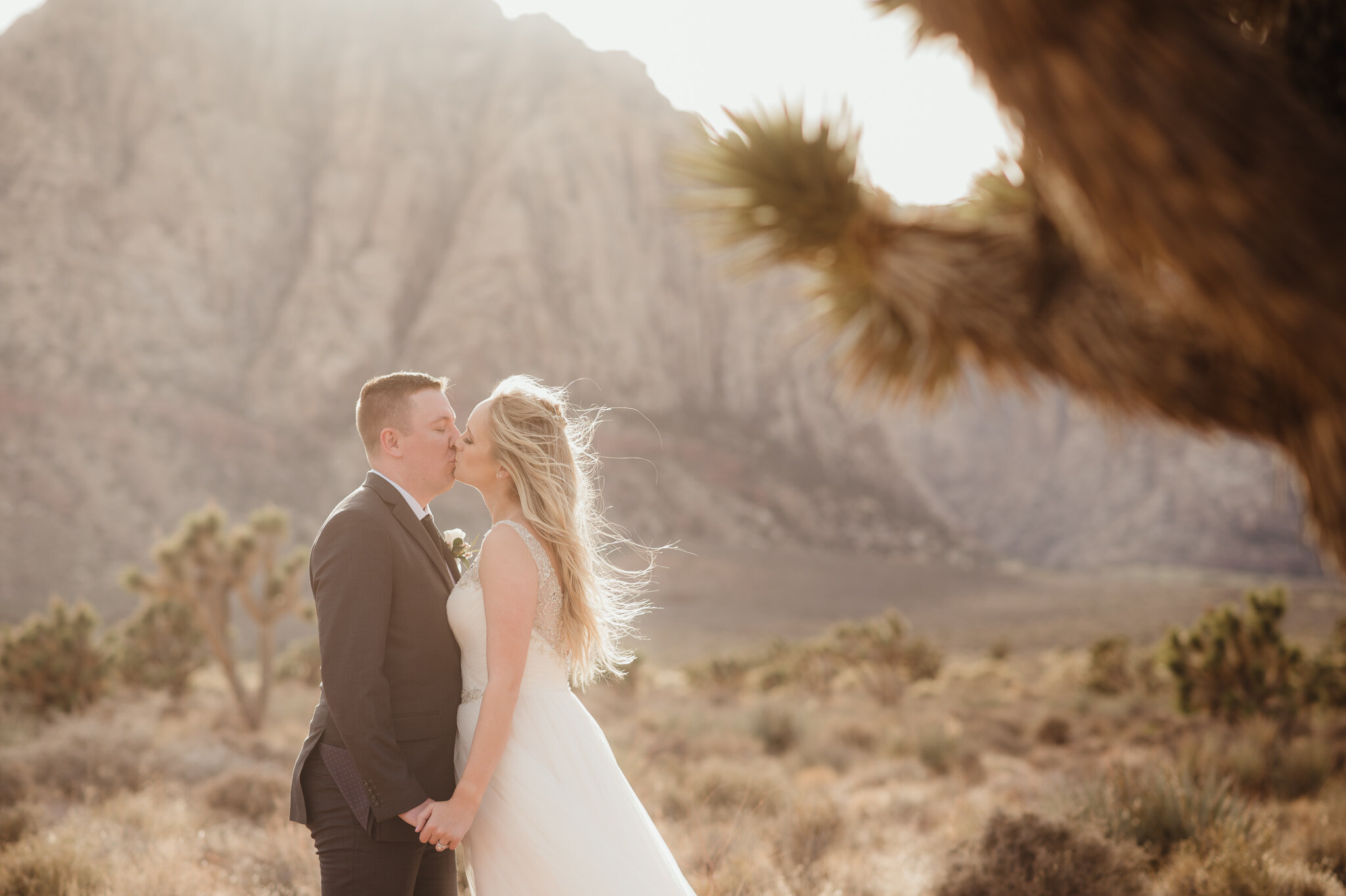 Spring Mountain Ranch Wedding Photos - Amber Garrett Photography - 037.jpg