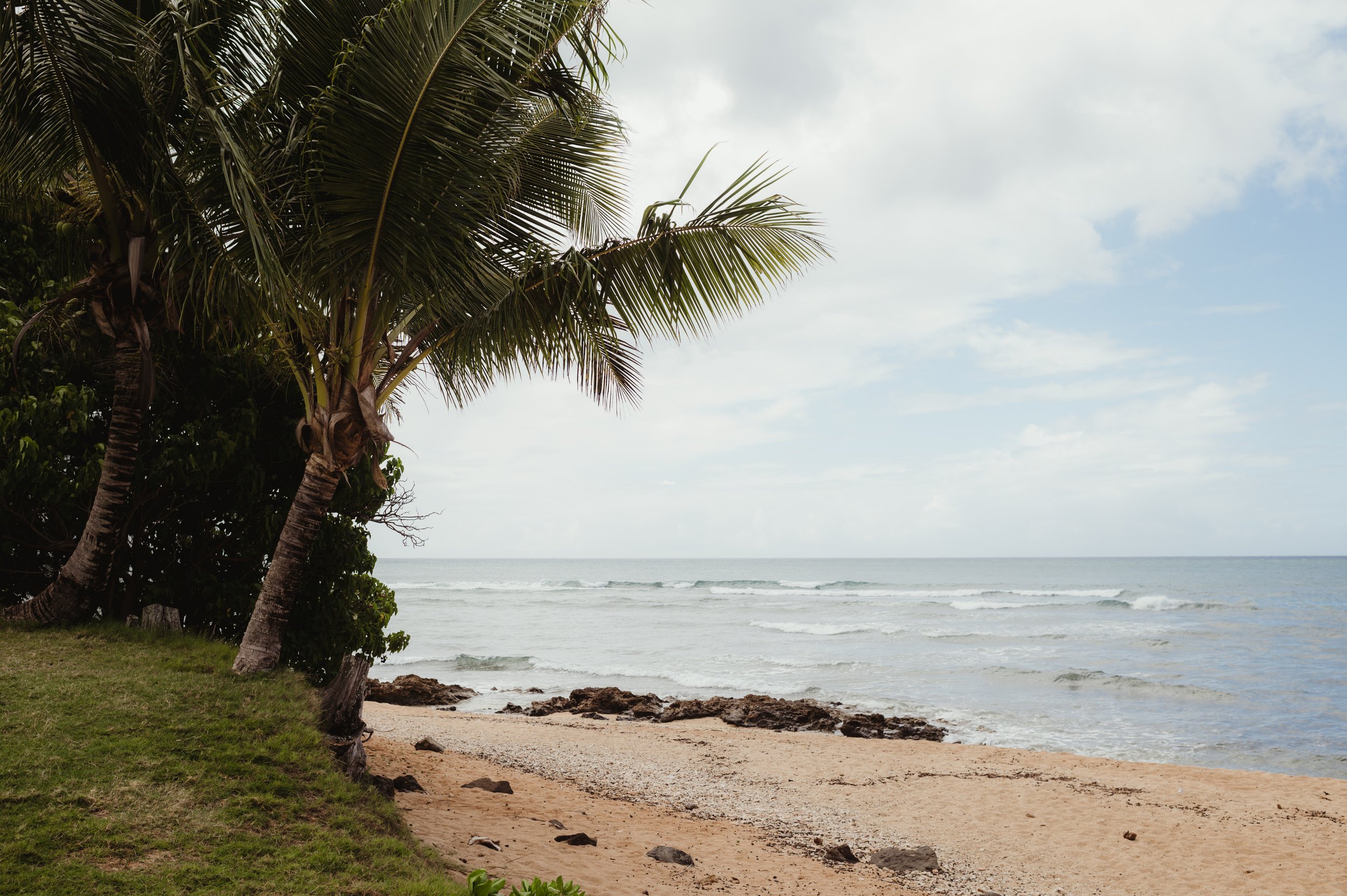 Loulu Palm Oahu Wedding - Amber Garrett Photography - 008.JPG