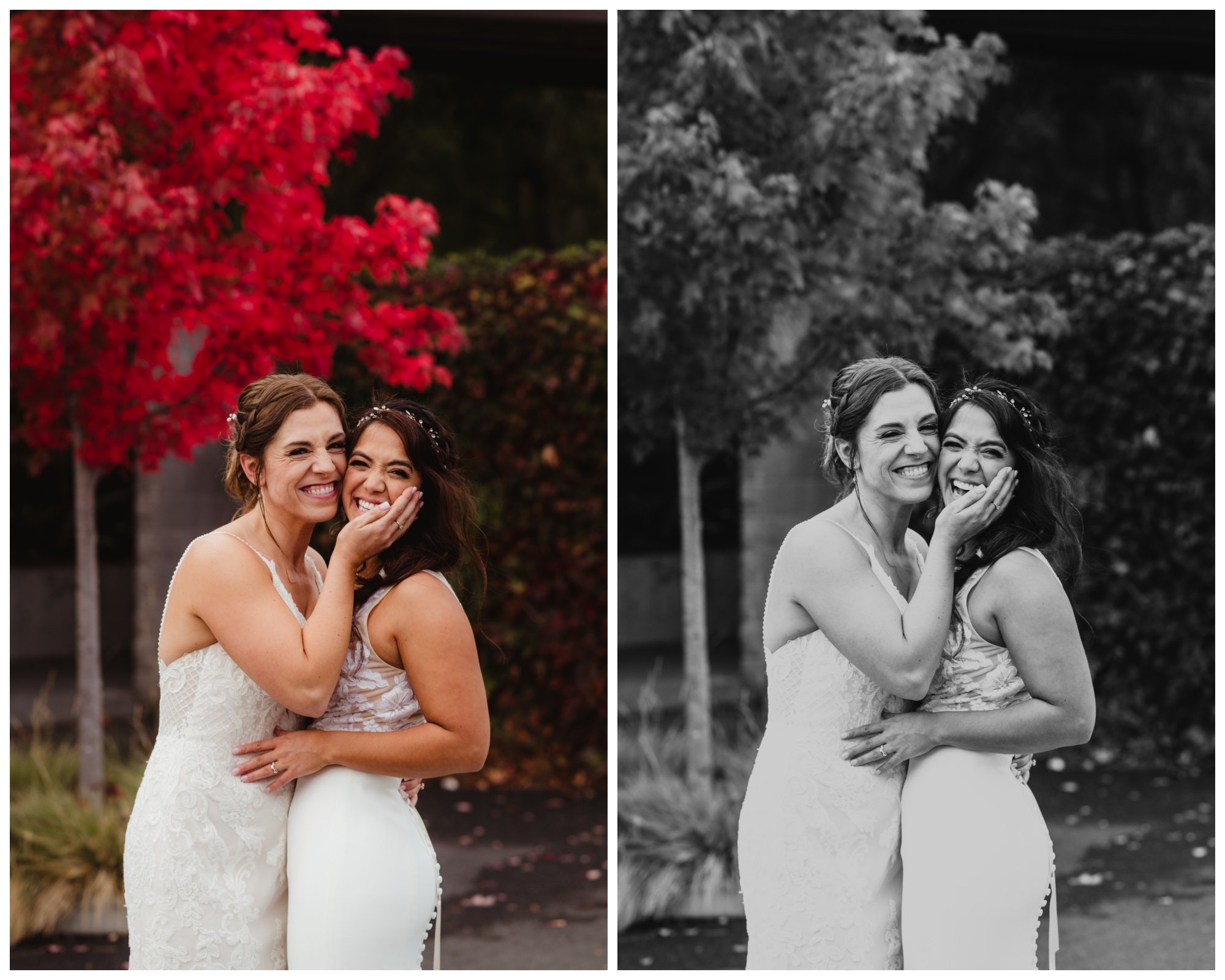 Sonoma County LGBTQ Wedding - Amber Garrett Photography - 084.JPG