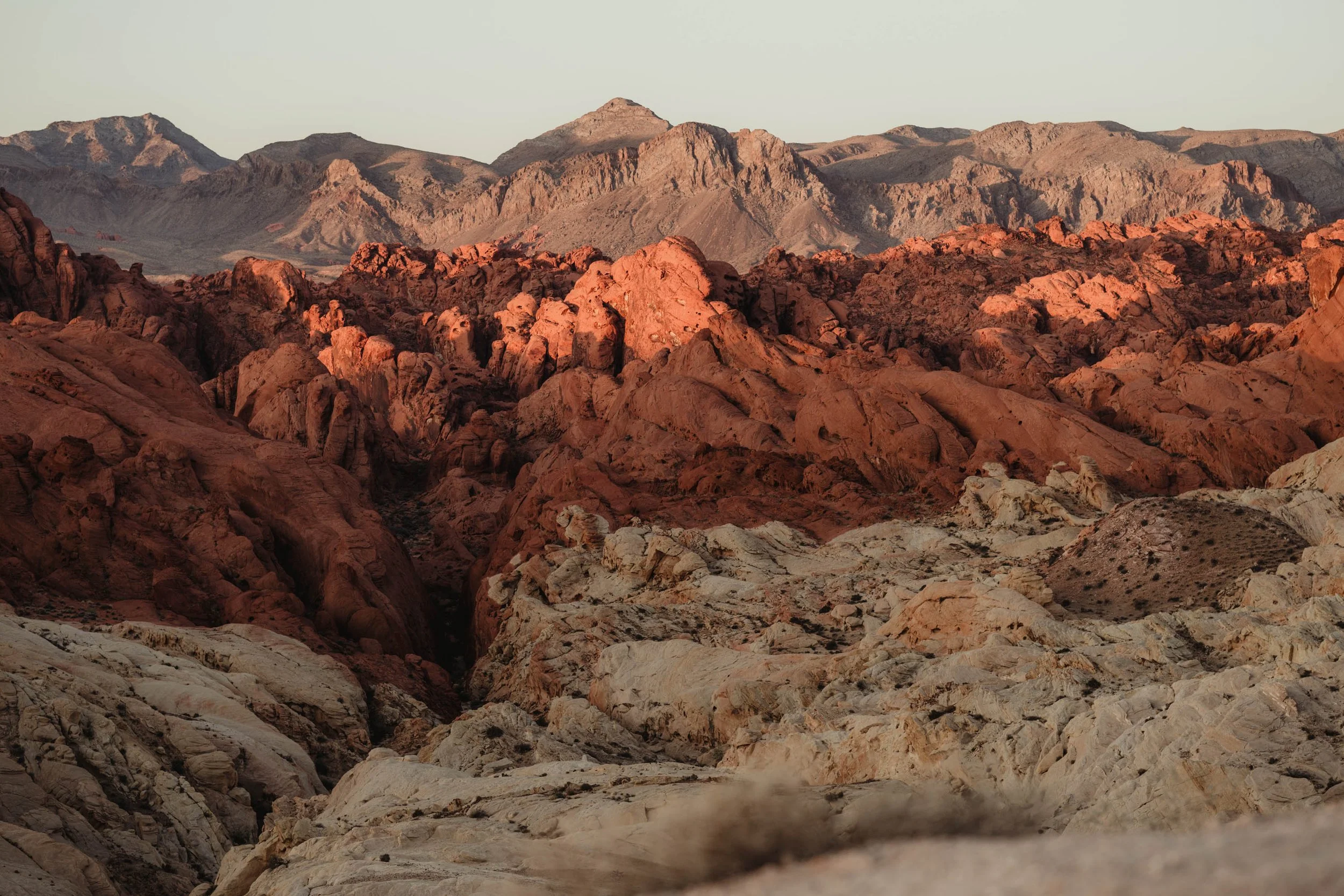Valley of Fire Engagement Pictures - Amber Garrett Photography-1.jpg