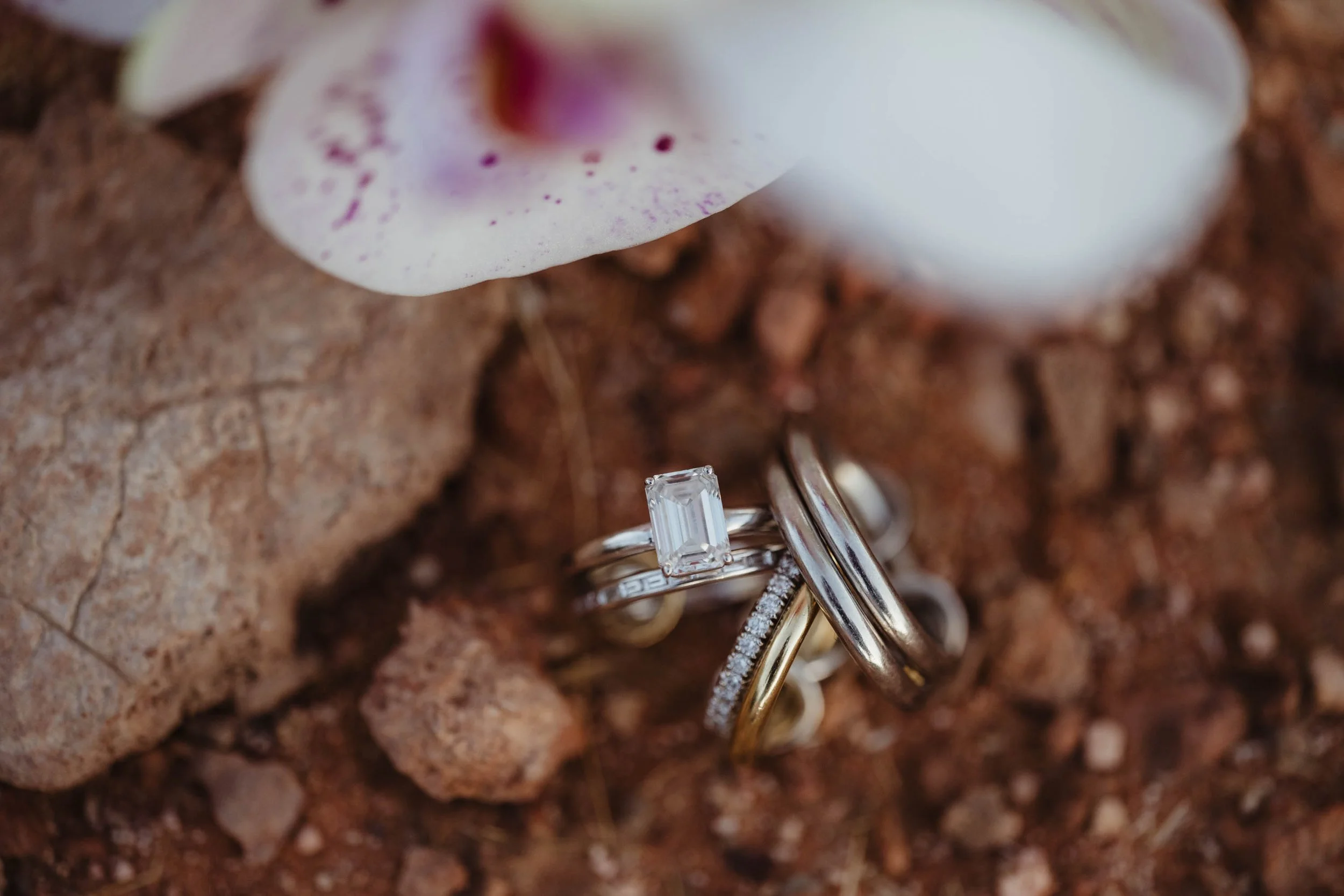 Las Vegas Elopement Pictures - Amber Garrett Photography-20.jpg