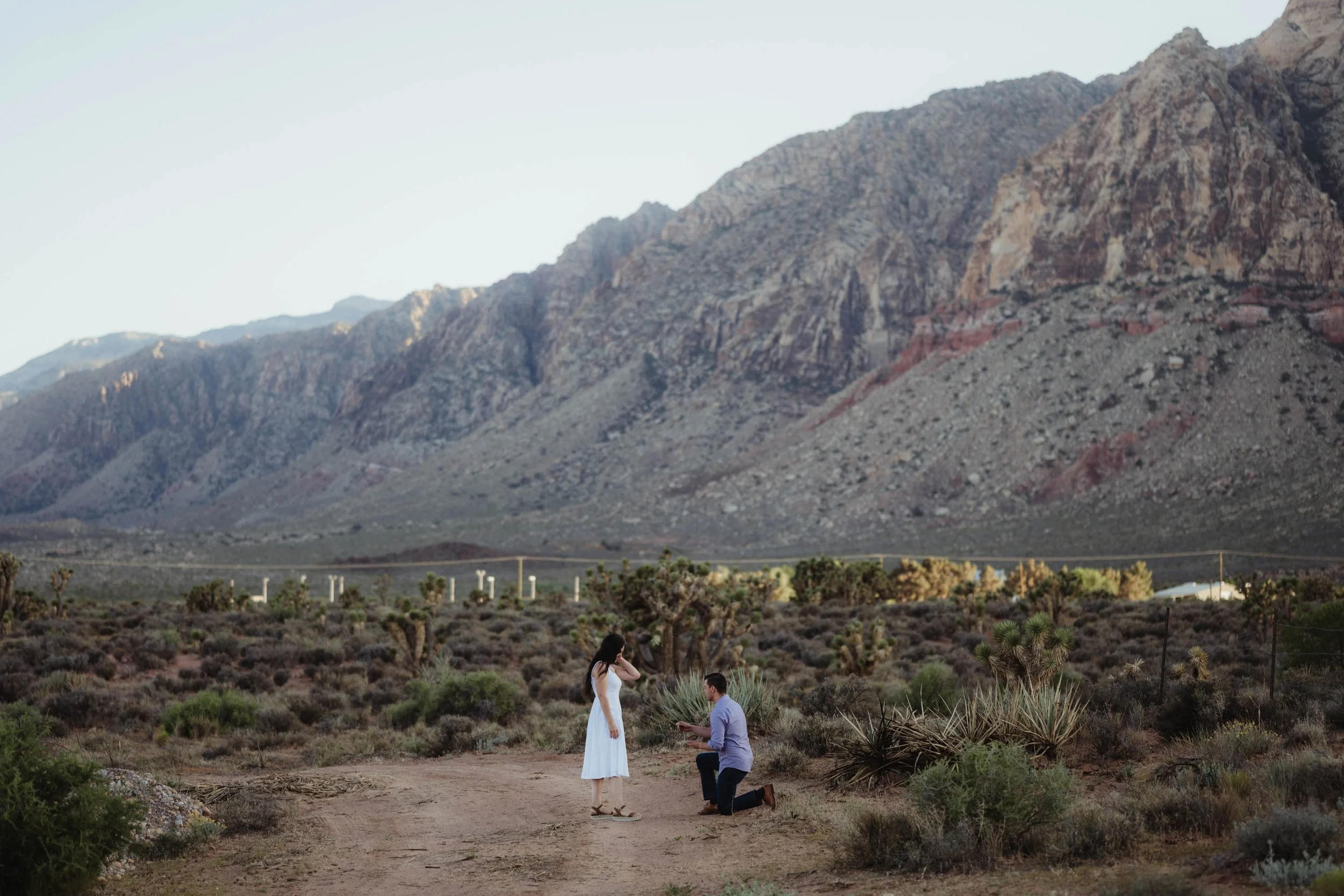 Las Vegas Proposal Planning - Amber Garrett Photography-3.jpg