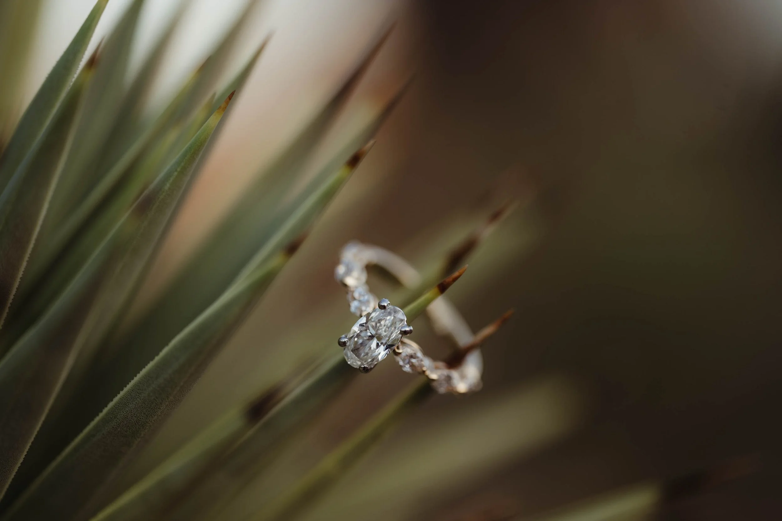 Las Vegas Proposal Planning - Amber Garrett Photography-19.jpg