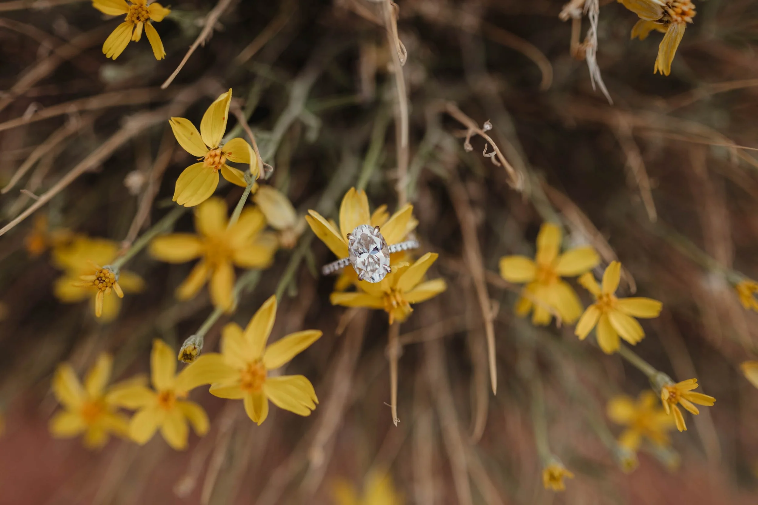 Las Vegas Elopement Photographer Testimonials - Amber Garrett Photography-4.jpg