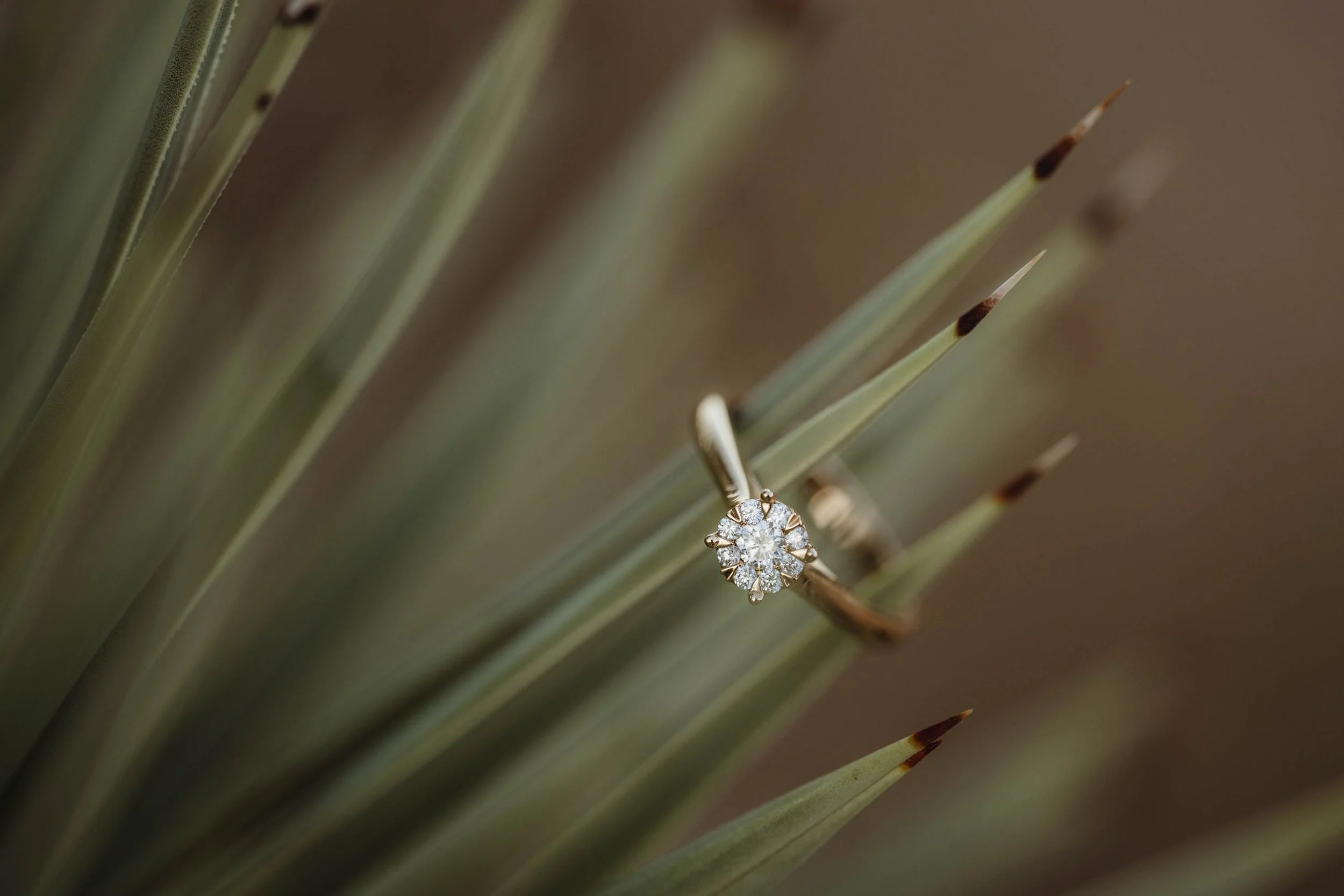 Holiday Proposal Tips and Prep Guide - Travel Engagement Photographer-23.jpg