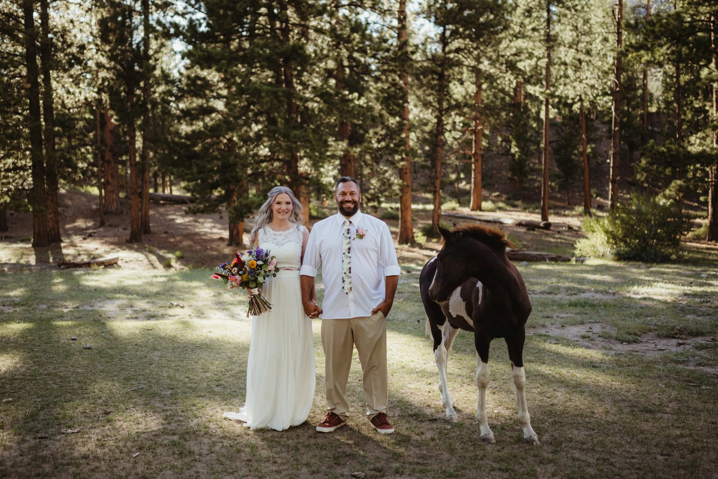 Do I Need an Elopement Portrait Photographer? | Mount Charleston Elopement Photography