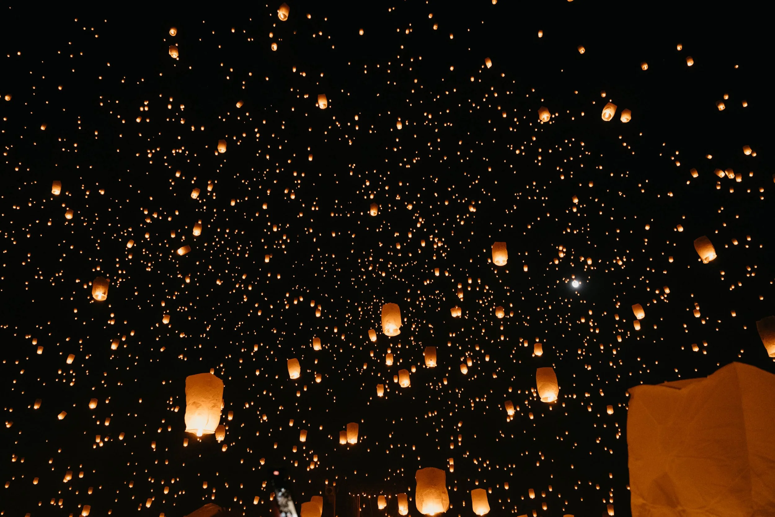 Destination Wedding and Elopement Photographer LGBTQIA friendly proposal photographer-12.jpg