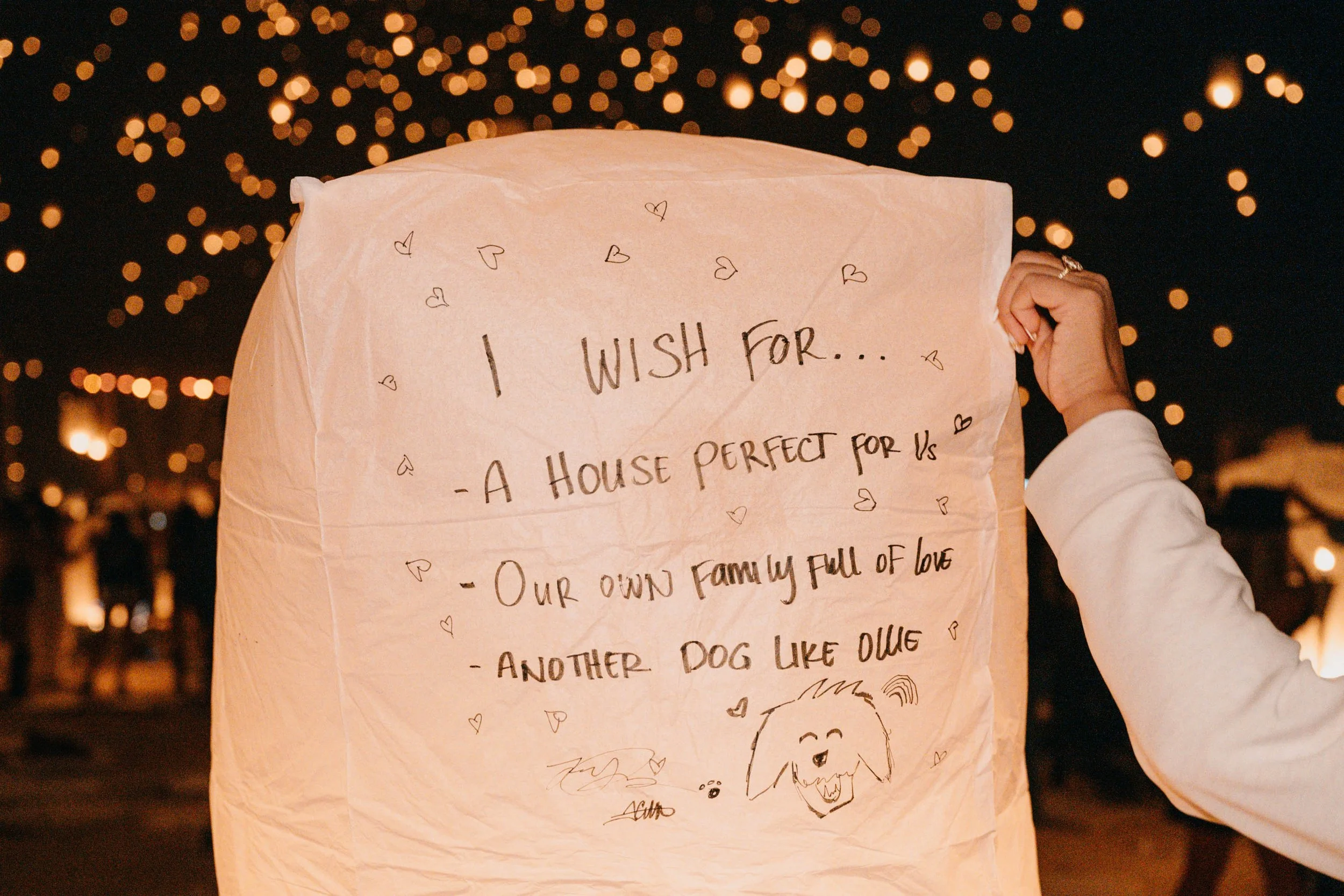 Destination Wedding and Elopement Photographer LGBTQIA friendly proposal photographer-25.jpg