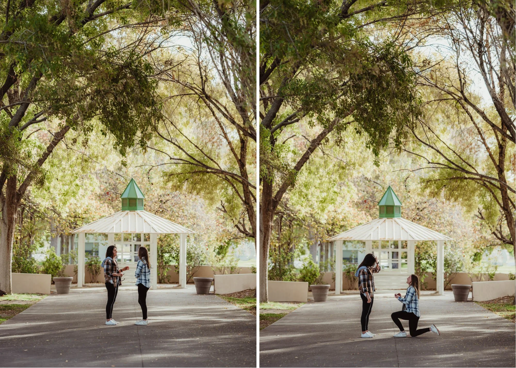 About Las Vegas elopements Las Vegas elopement Photographer-21.jpg
