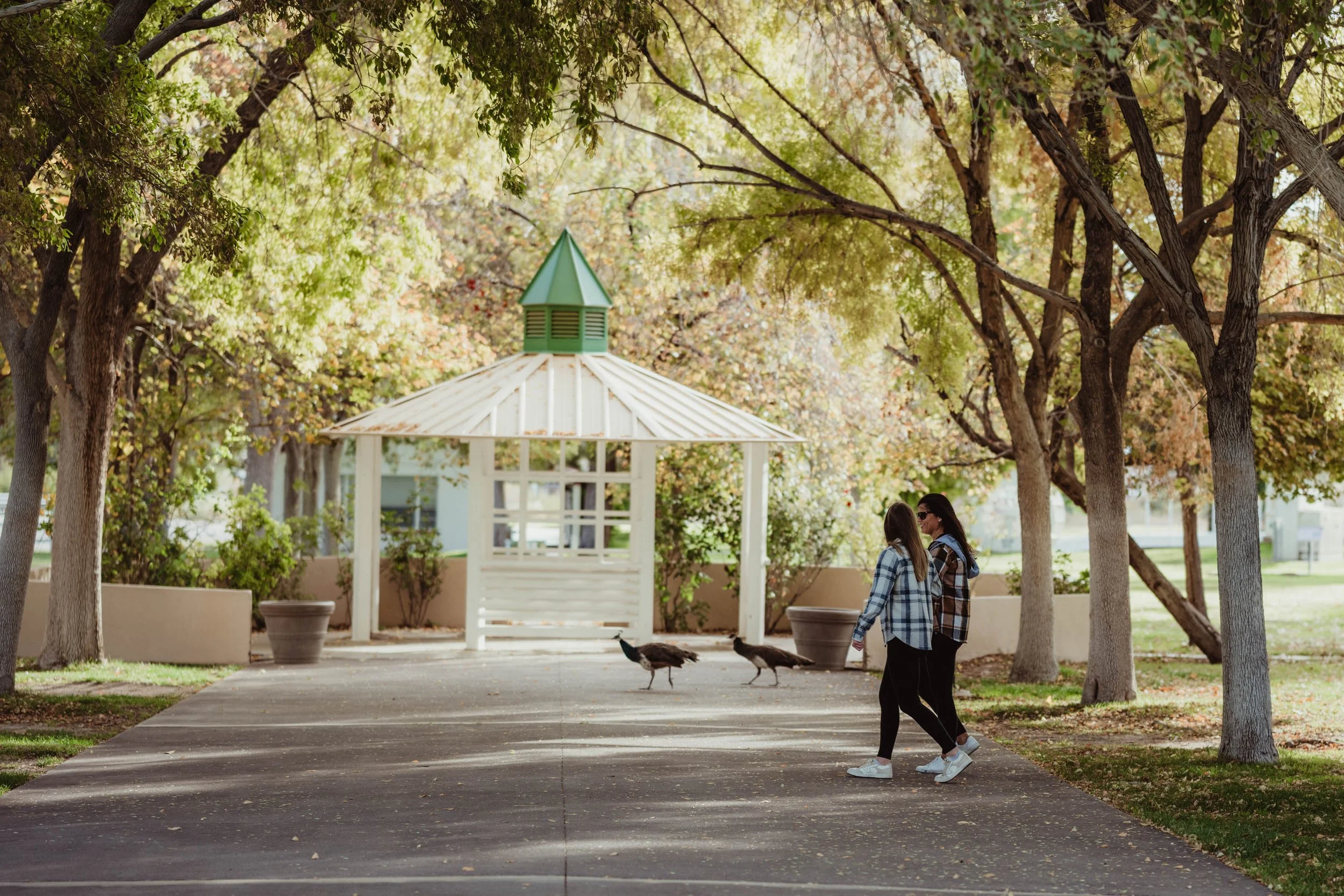 Las Vegas Proposal Planning Las Vegas proposal and wedding Photographer-1.jpg