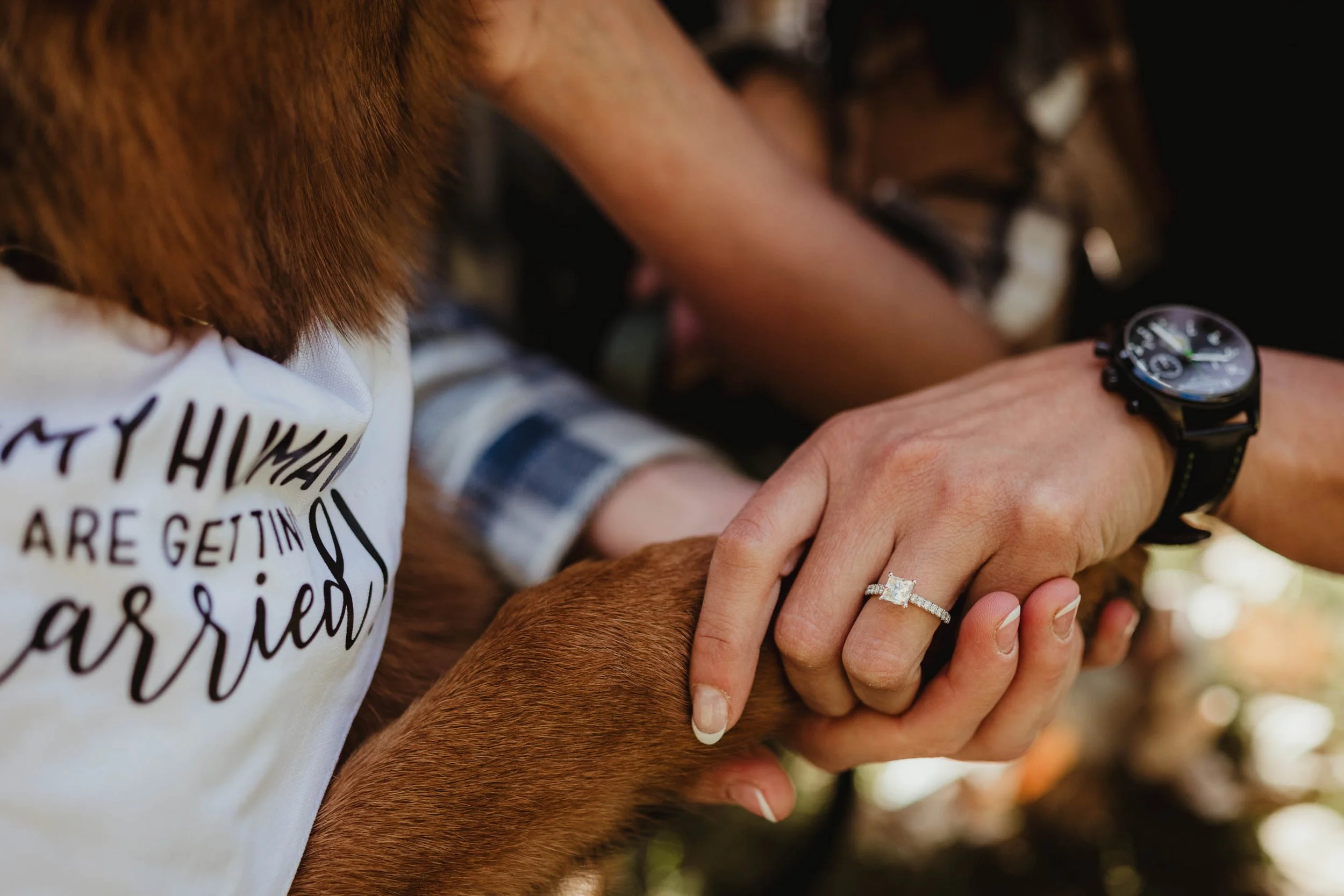 Las Vegas Proposal Planning Las Vegas proposal and wedding Photographer-14.jpg