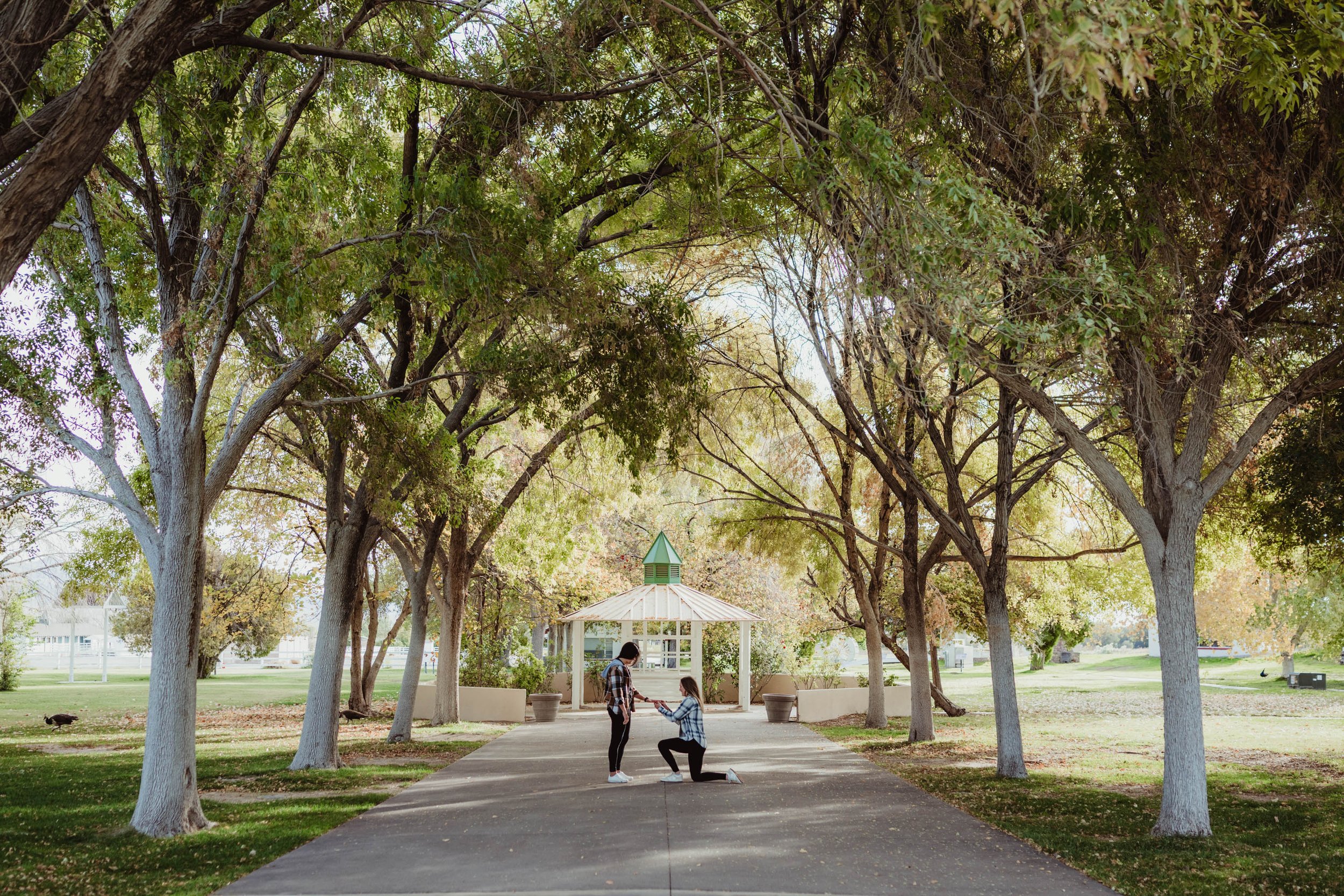 Choosing a Las Vegas Proposal Location | LGBTQIA+ Affirming Travel Proposal Photographer