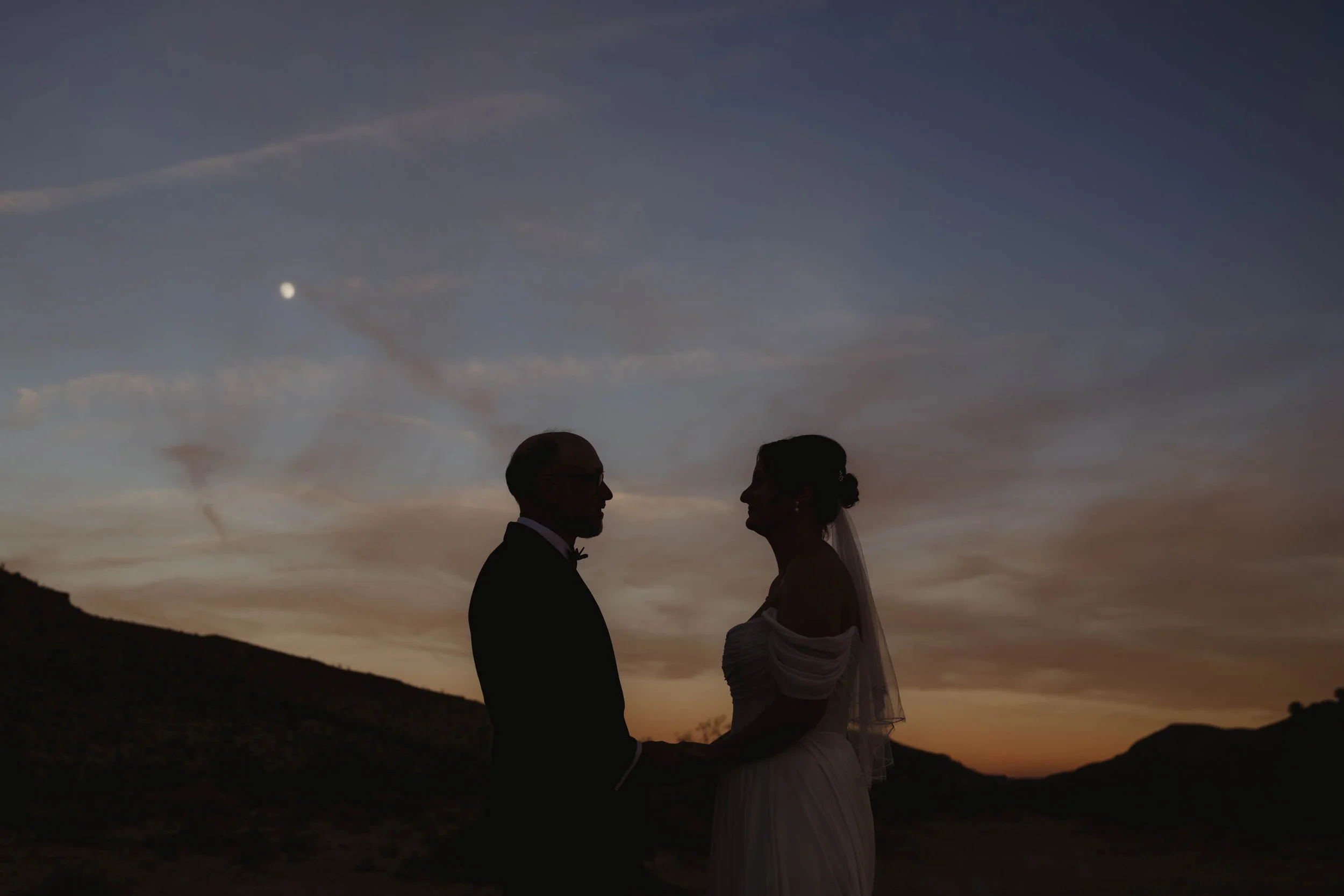What to Know About a Desert Elopement - Las Vegas Elopement Photographer-44.jpg