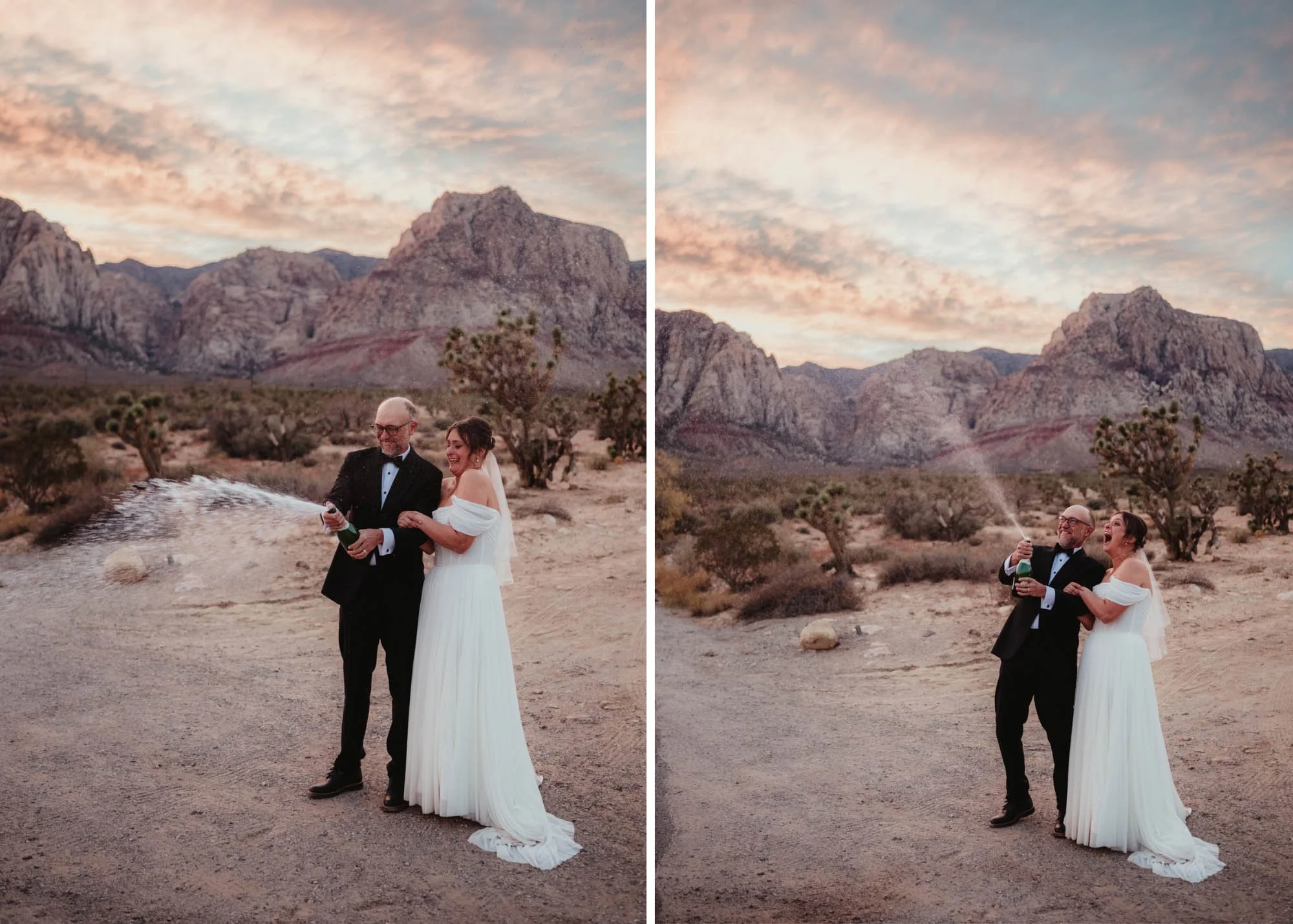 What to Know About a Desert Elopement - Las Vegas Elopement Photographer-51.jpg