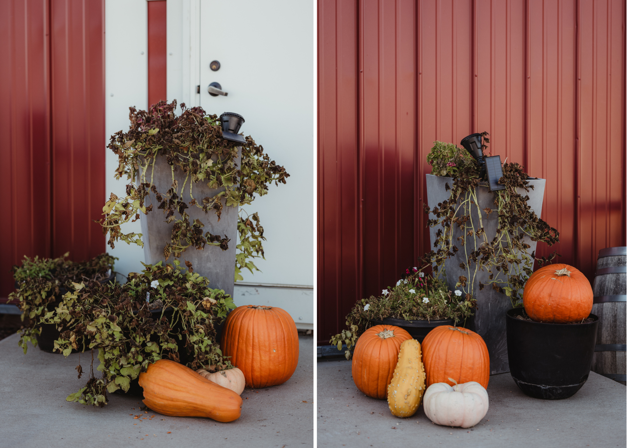 Fall Wedding Inspo - Amber Garrett Photography - 034.PNG