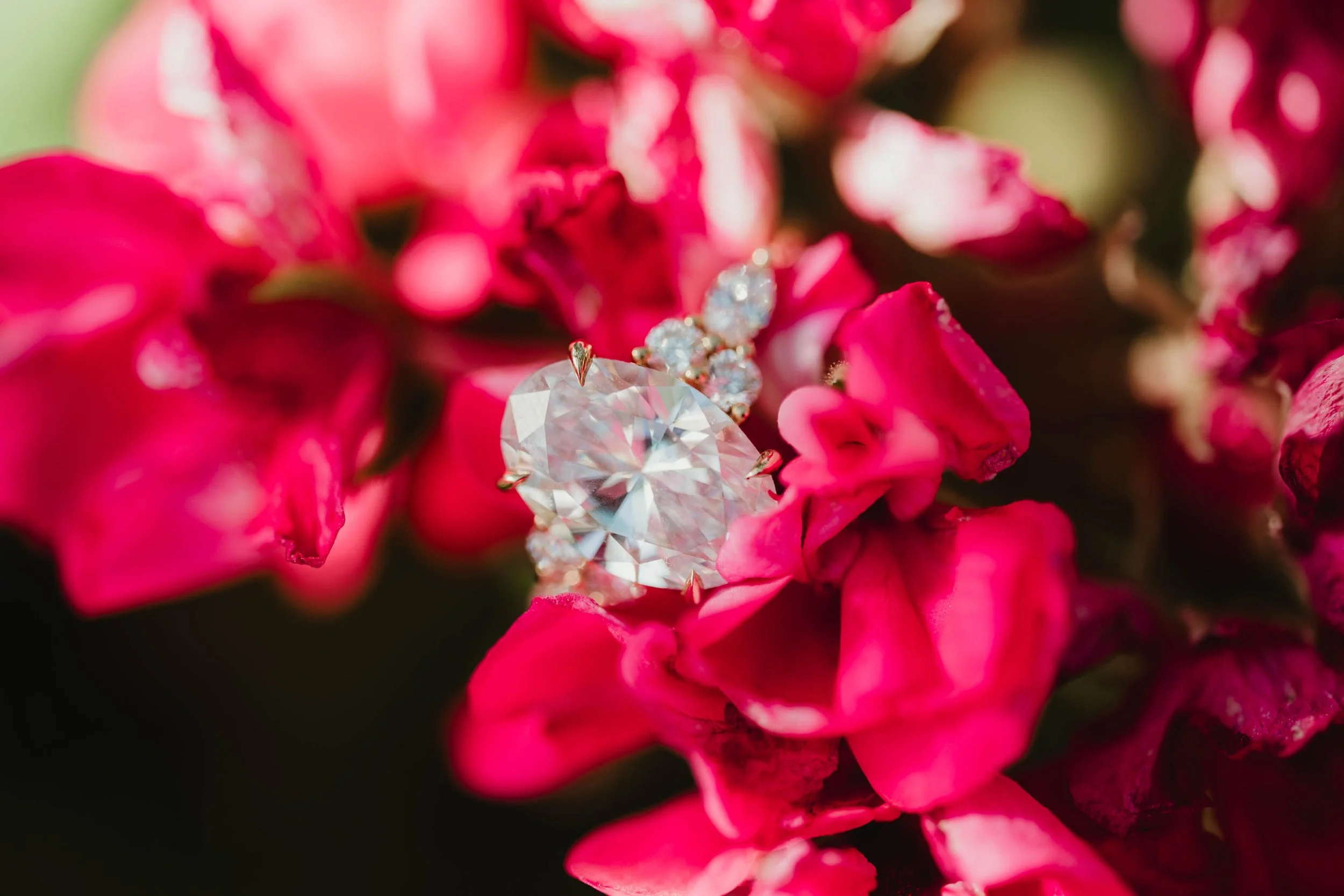 Bellagio Botanical Gardens Proposal Las Vegas Wedding and Elopement Photographer-24.jpg