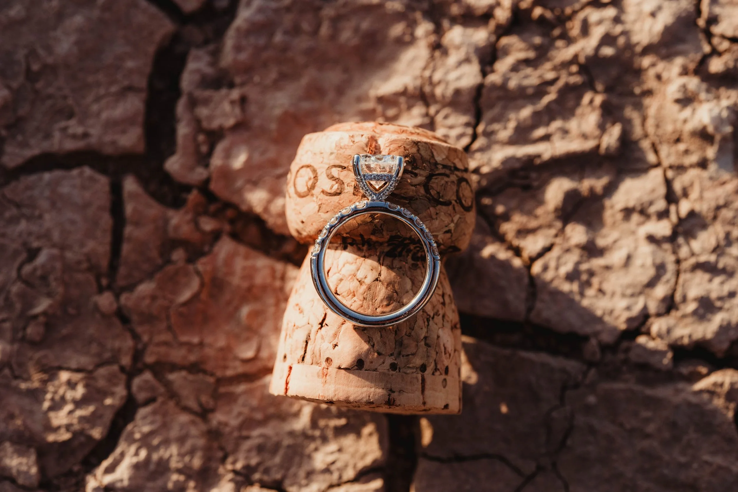 Las Vegas Dry Lakebed Proposal Las Vegas Wedding and Elopement Photographer-26.jpg
