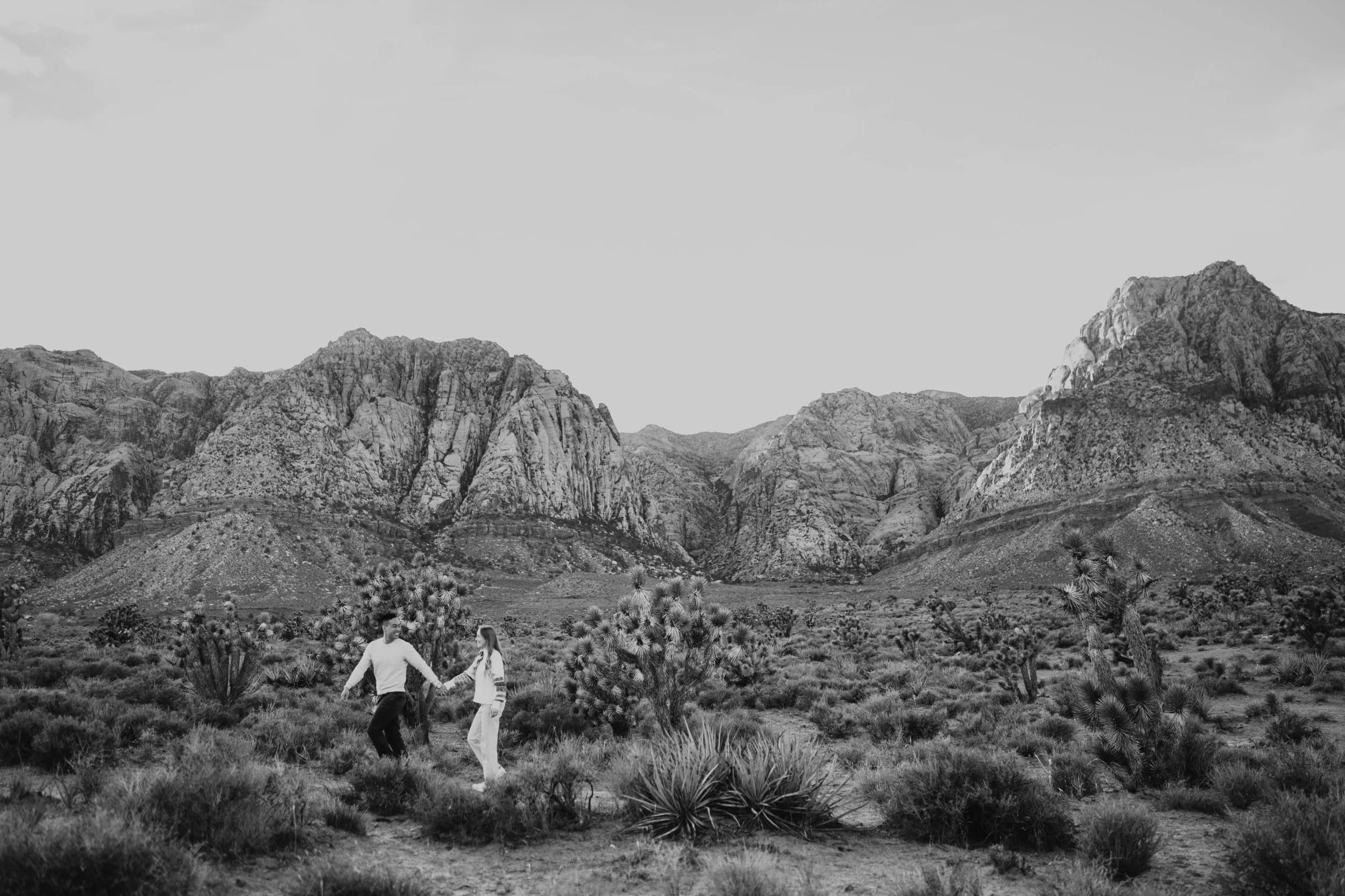 Red Rock Canyon Las Vegas Desert Engagement Portraits Las Vegas Wedding and Elopement Photographer-6.jpg
