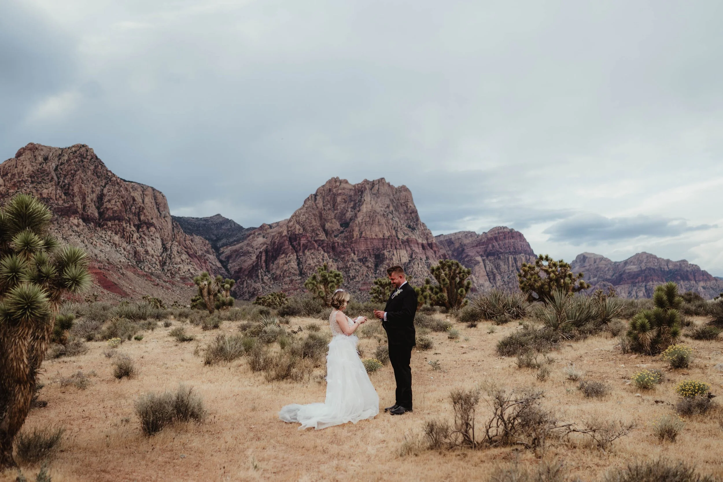 Red Rock Canyon Elopement Las Vegas Wedding and Elopement Photographer-1.jpg