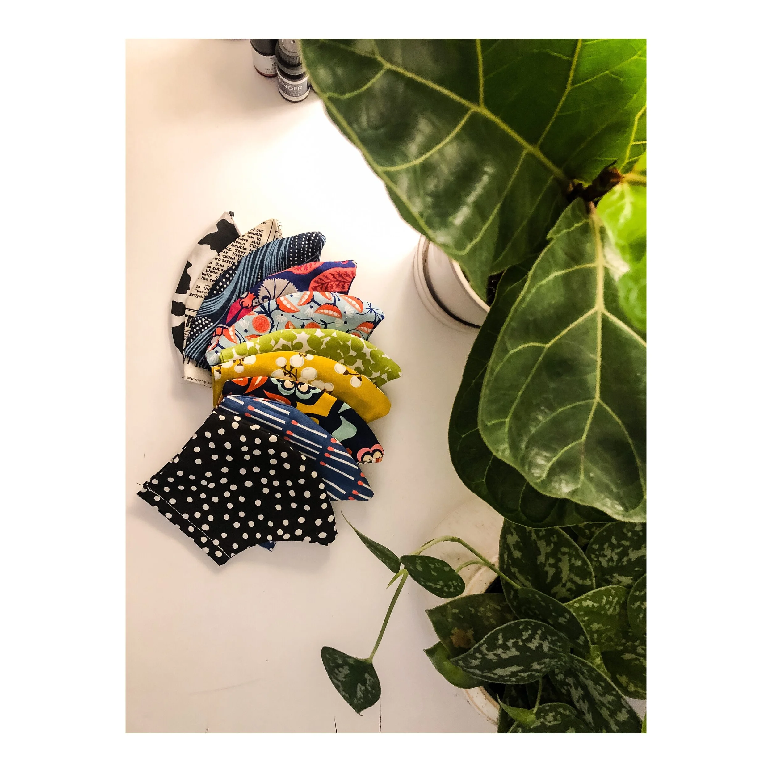 E71D6574-92F5-4F32-8717-9290150FCA0C