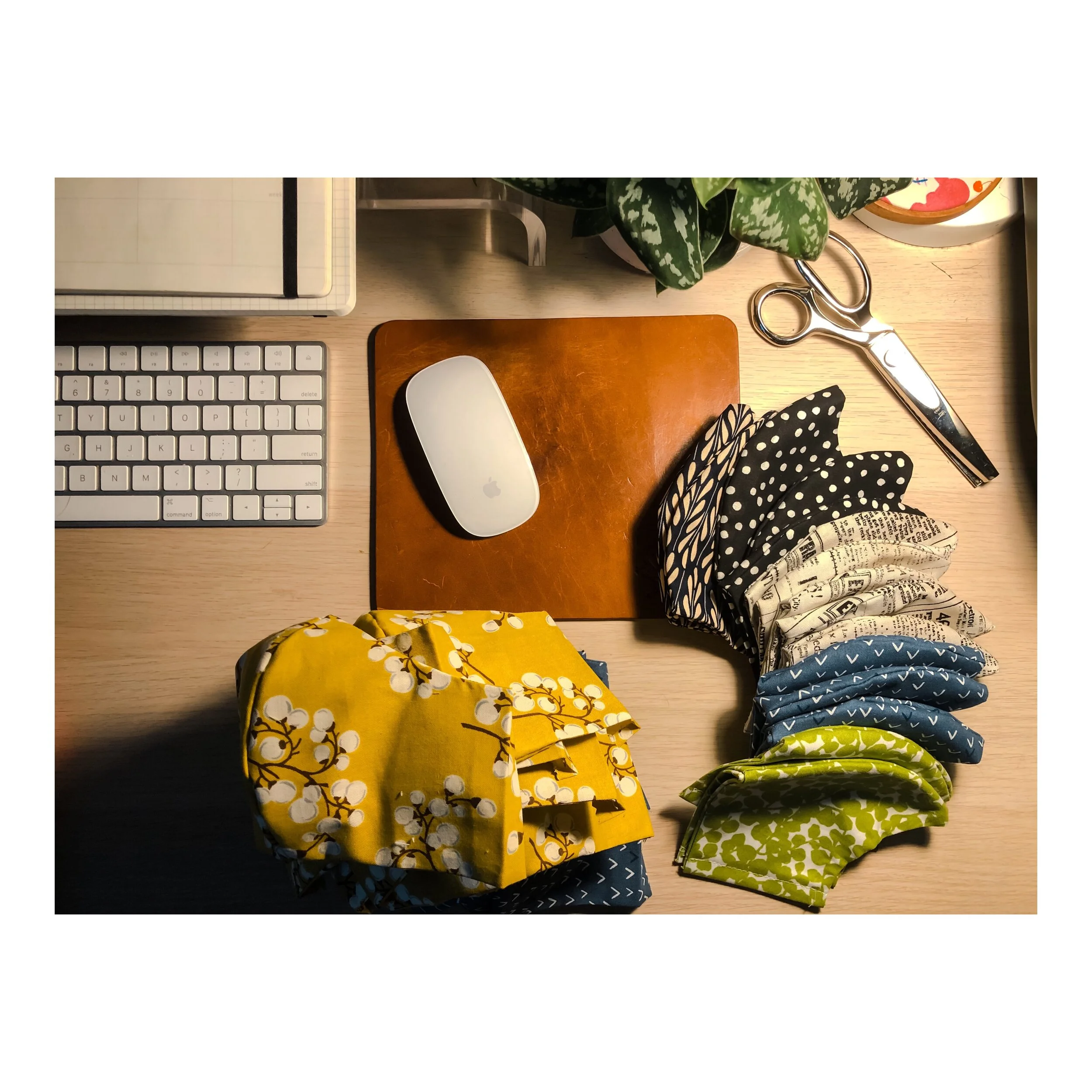 3C00407C-97D6-4856-BE56-069558D0431D