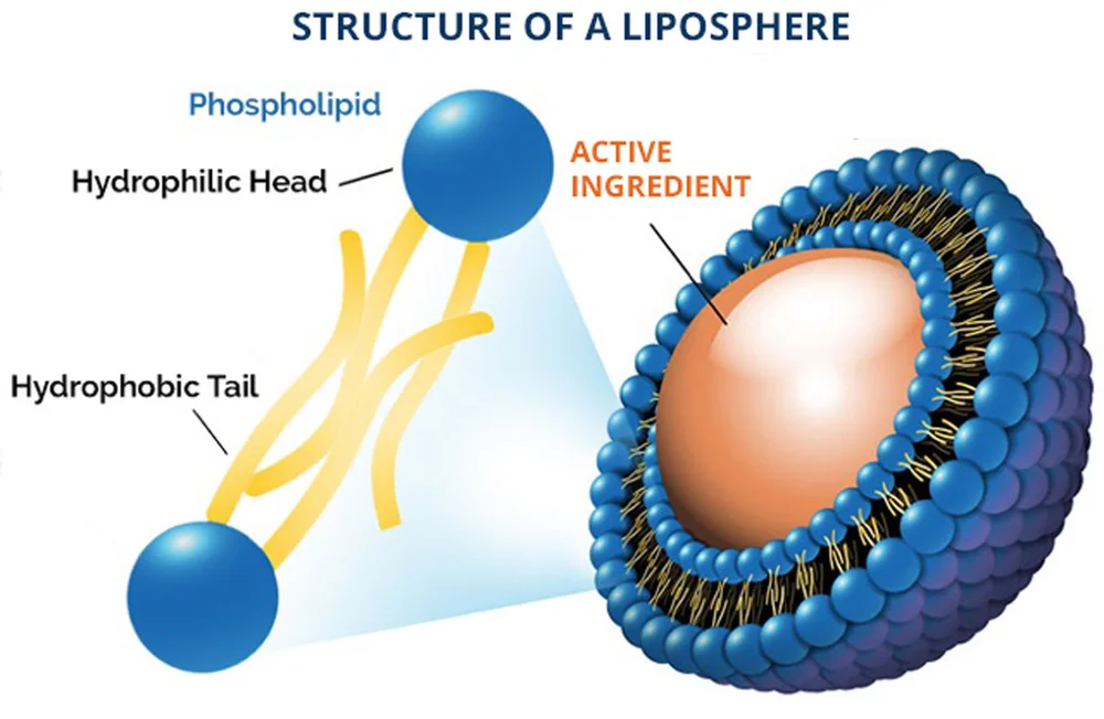 LIPOSPHERE TECHNOLOGY — Follics