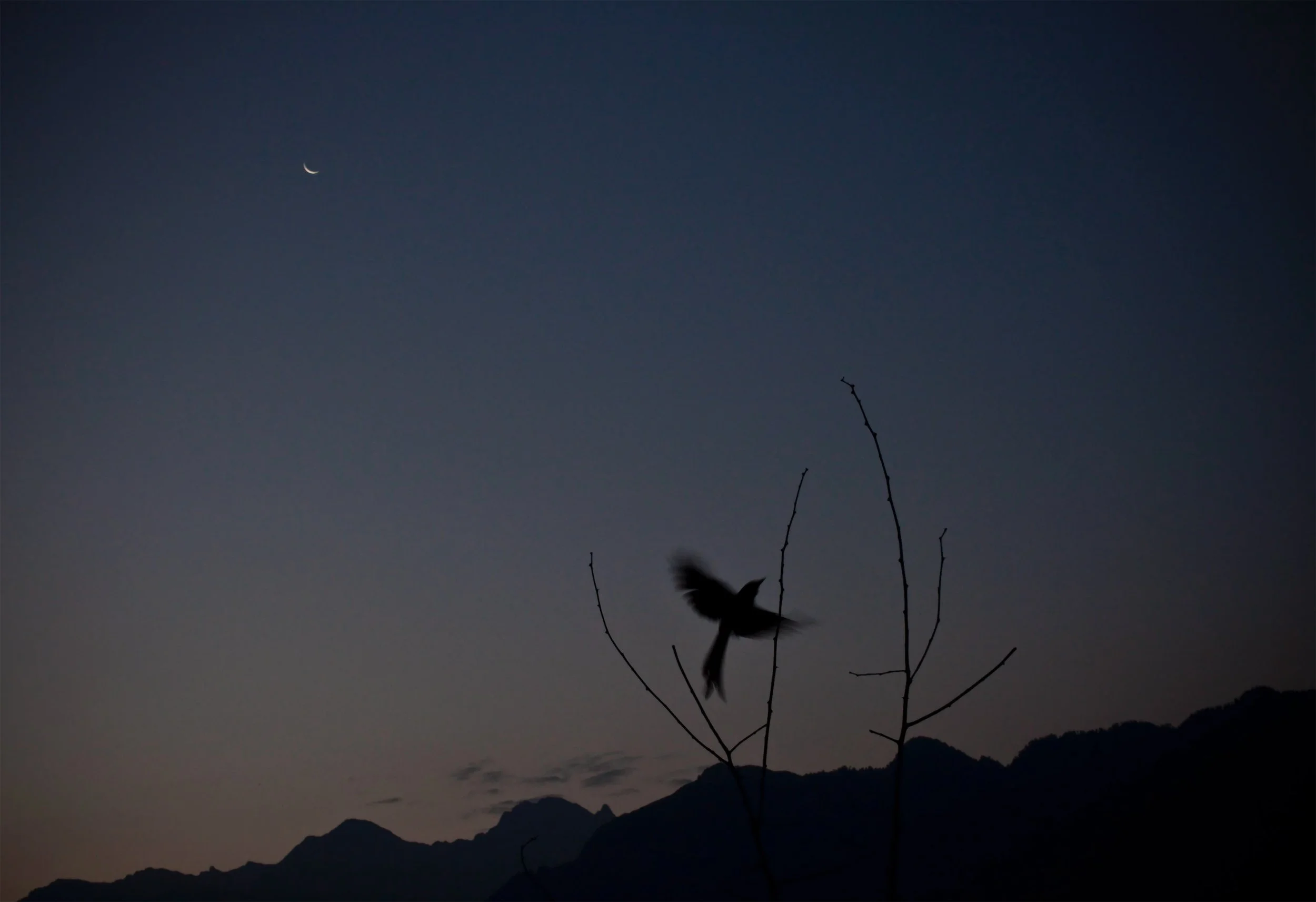 Screenshot 2025-02-05 at 11.52.08 am.jpg