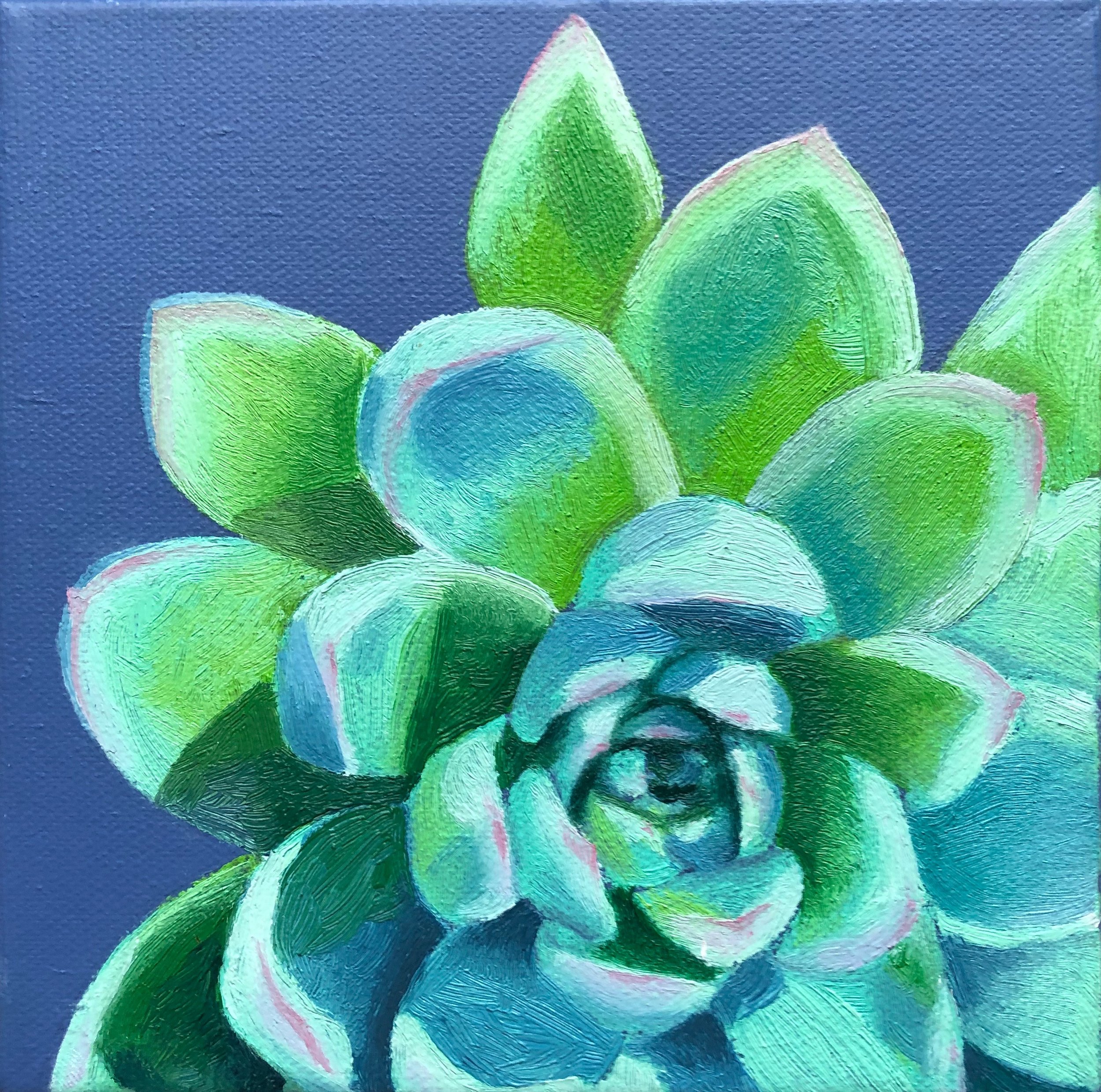 Succulent_01.jpeg