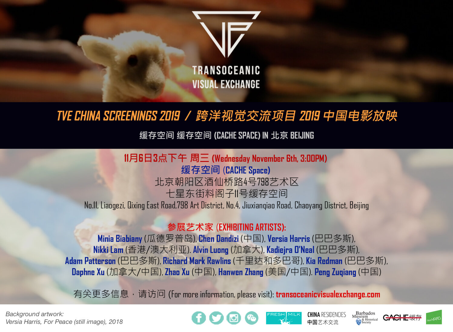 tve-2019_china-screenings.jpg