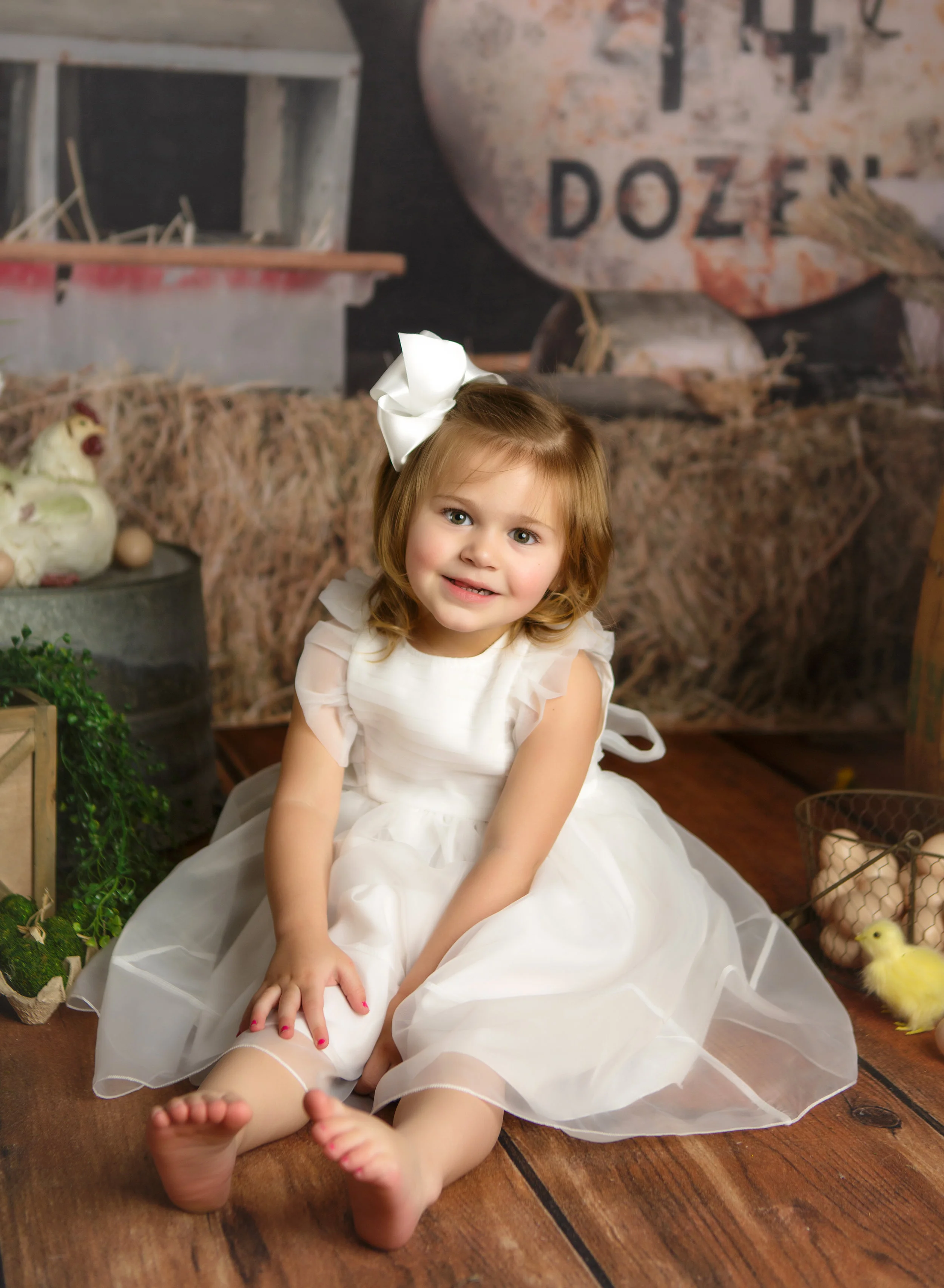 Country Farm Eggs Mini's 