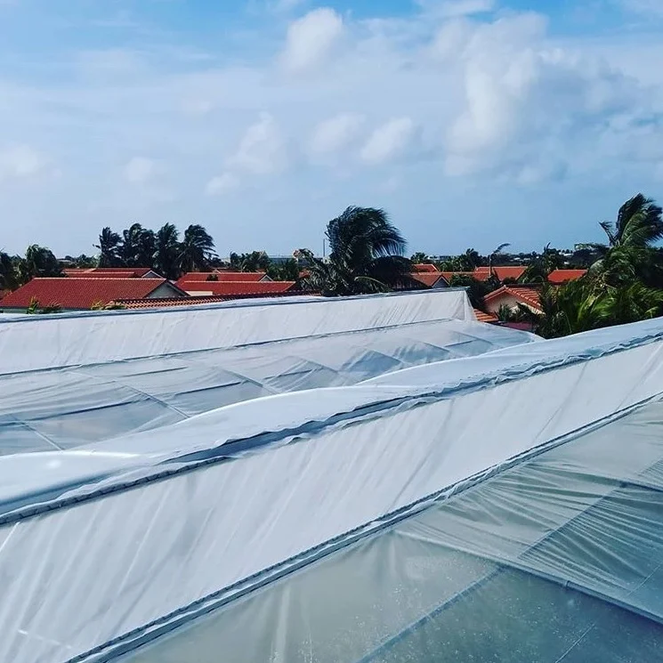 Aruba.jpg