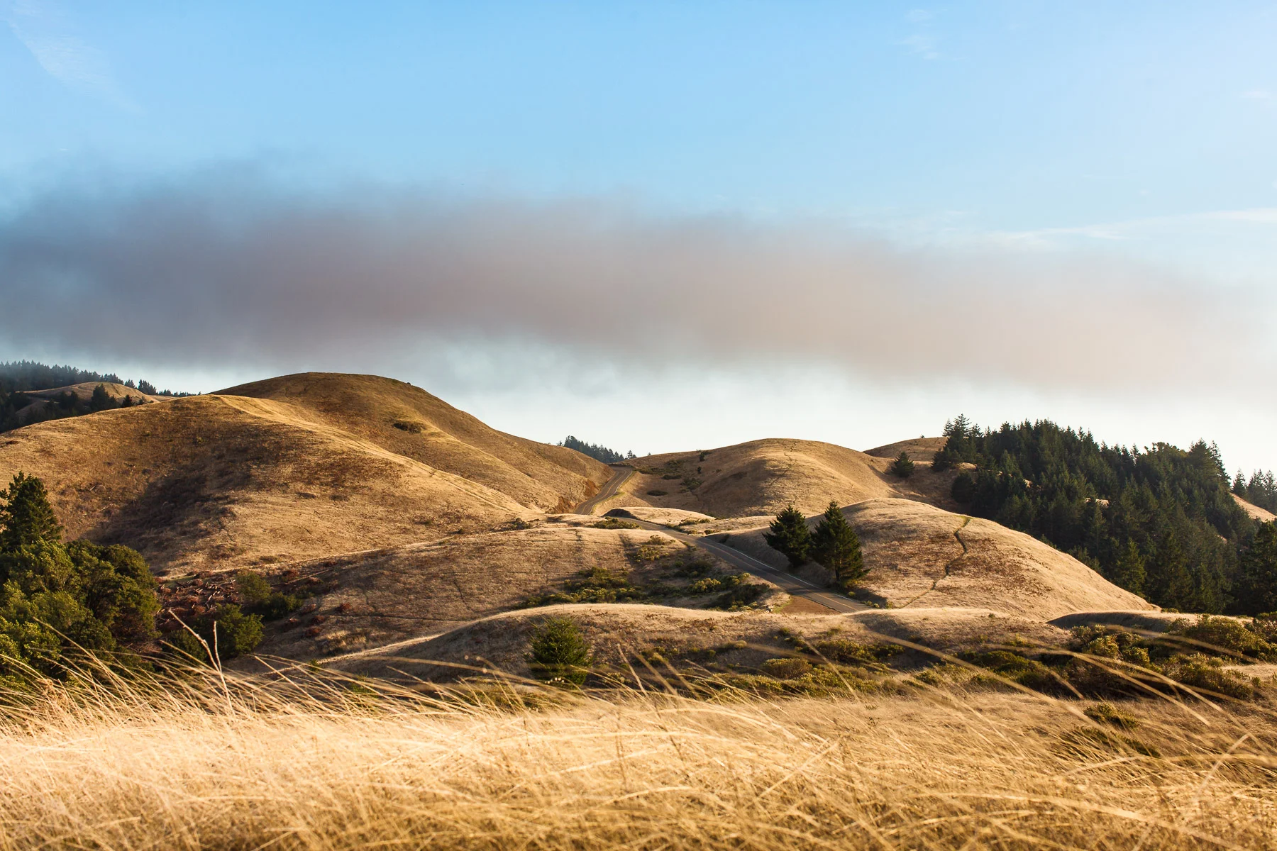 20161026_dTown_2434-Edit.jpg