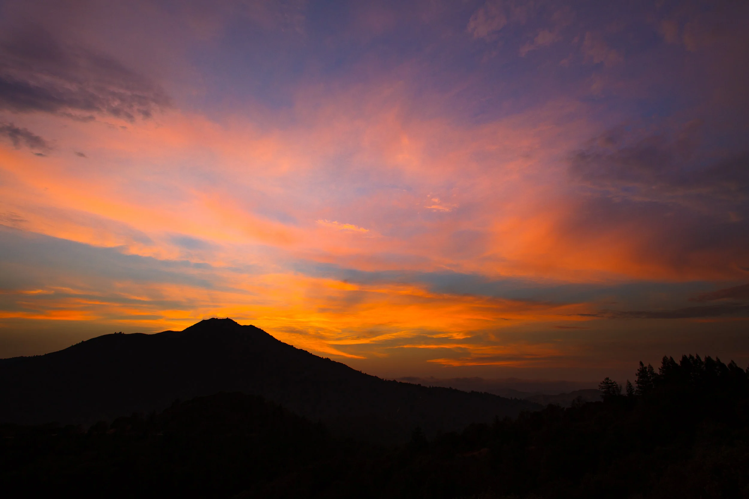 _MG_3636.jpg
