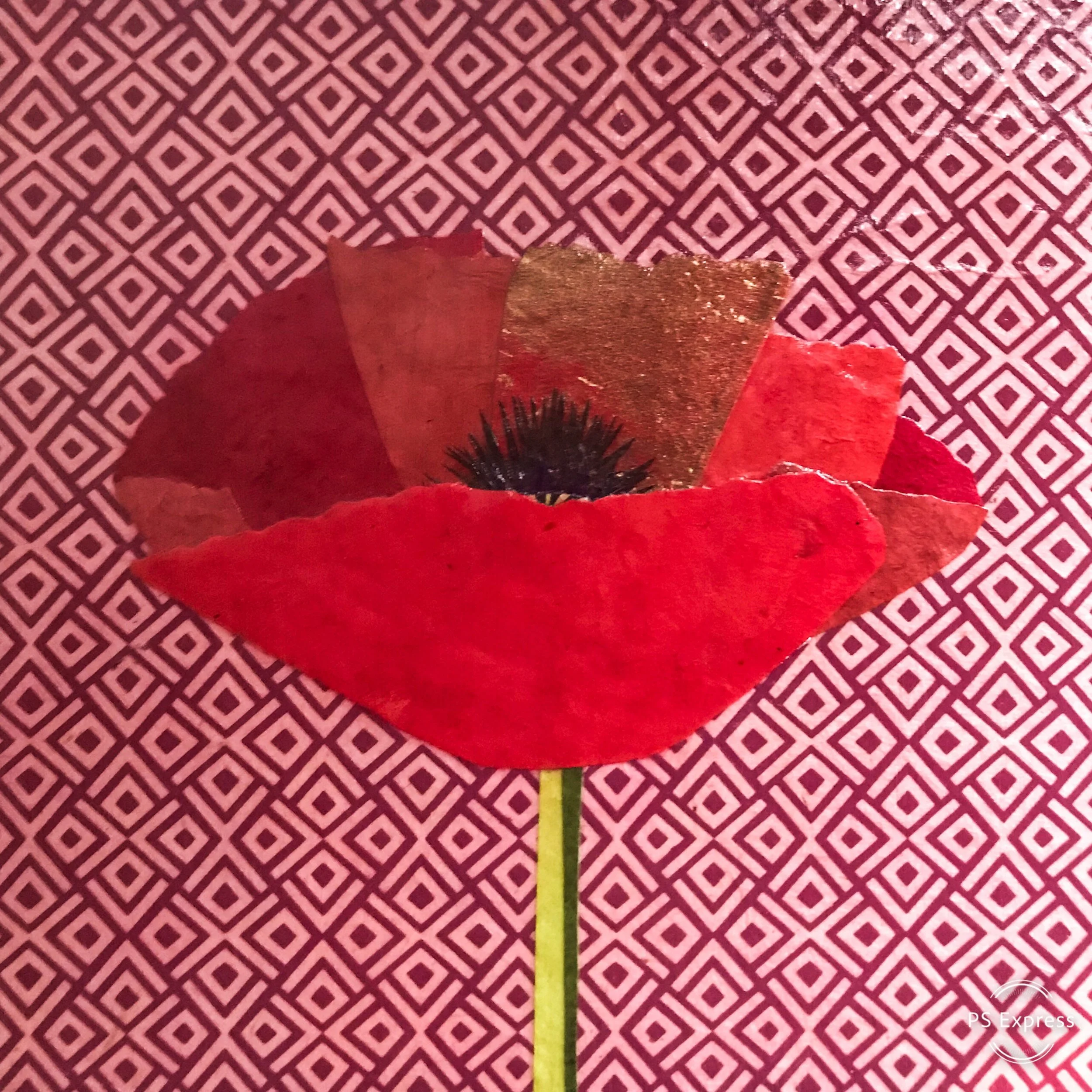 Vibrant Poppy 