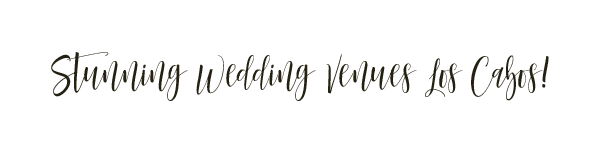 stuning wedding venues los cabos.png