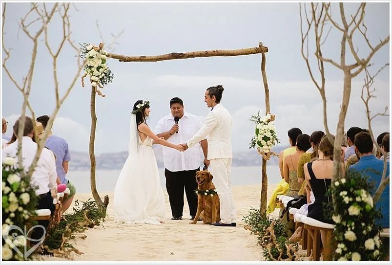 Boho Beach Wedding | Los Cabos 