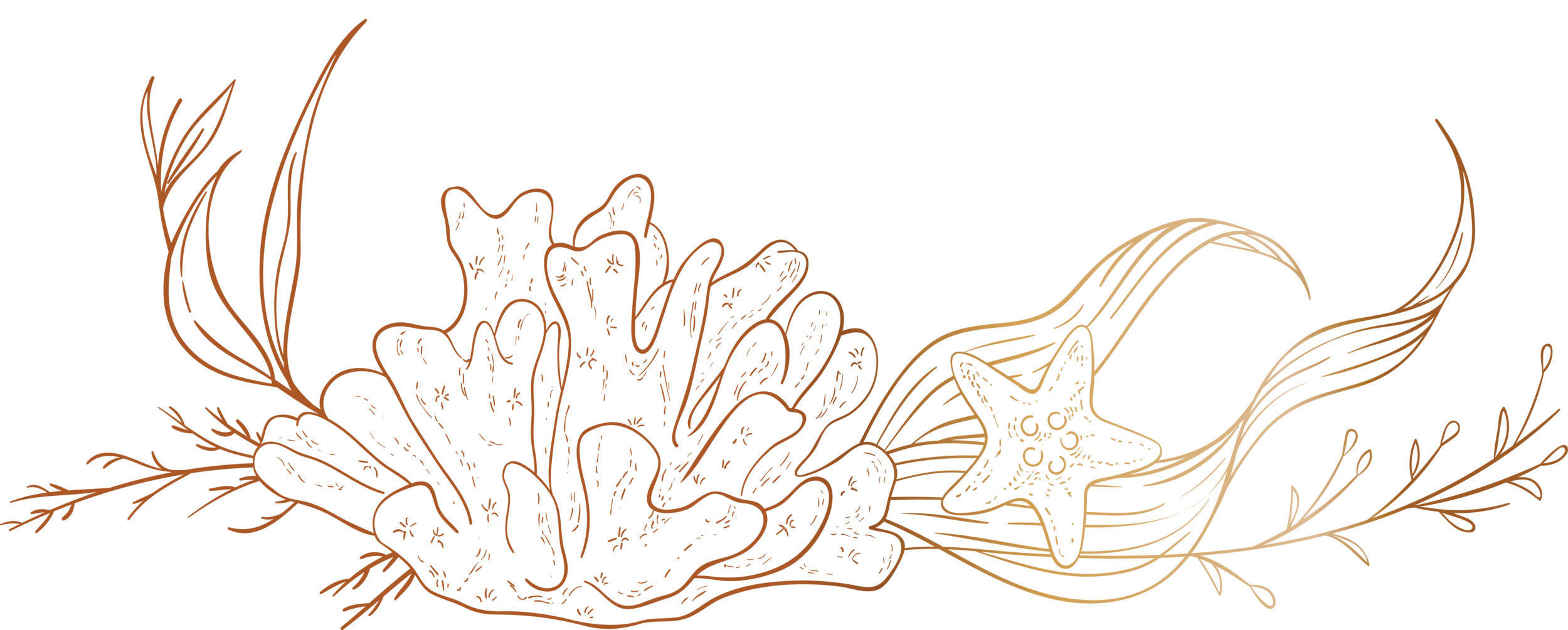 FloralFooter.png