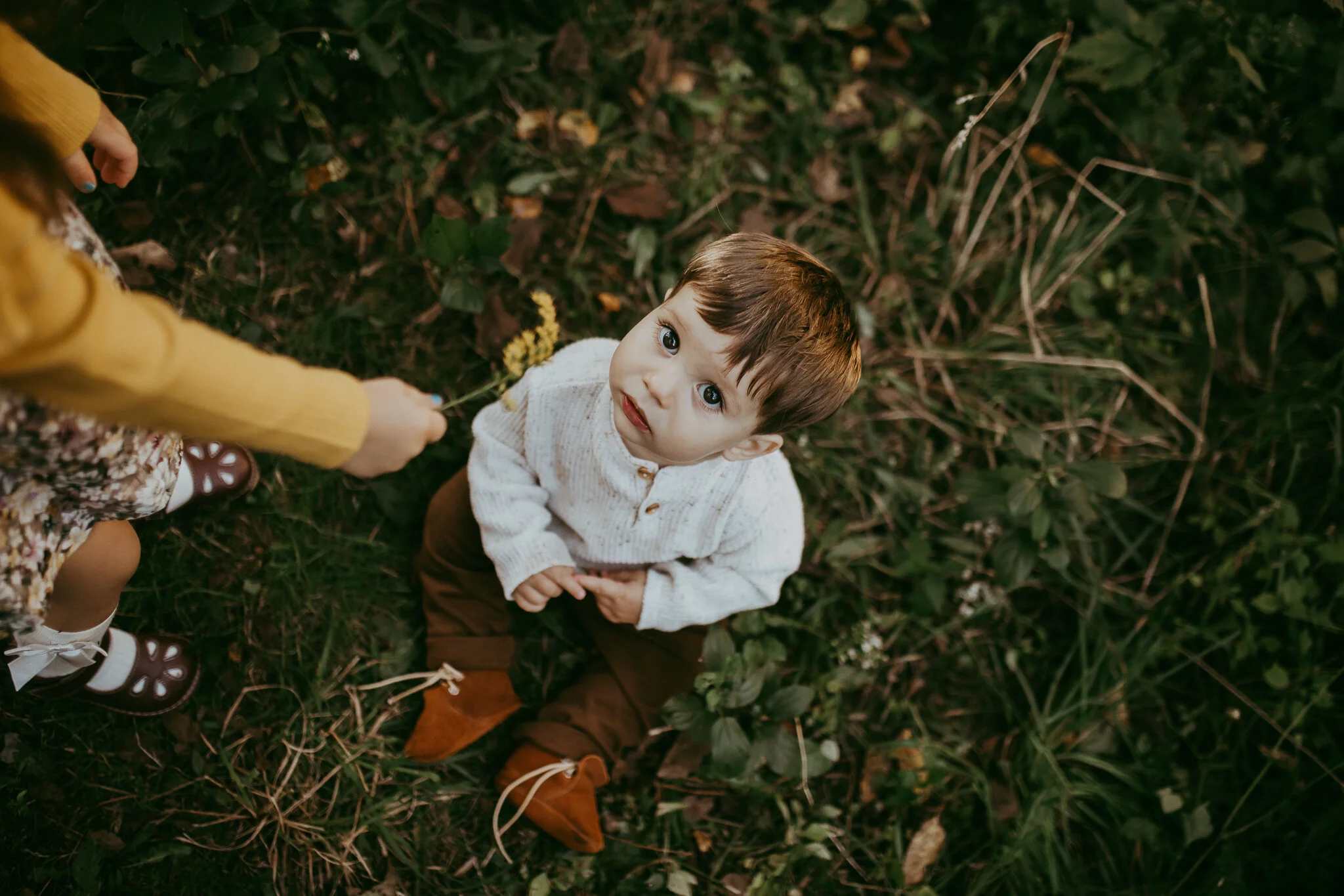 milwaukee family photographer-1-25.jpg