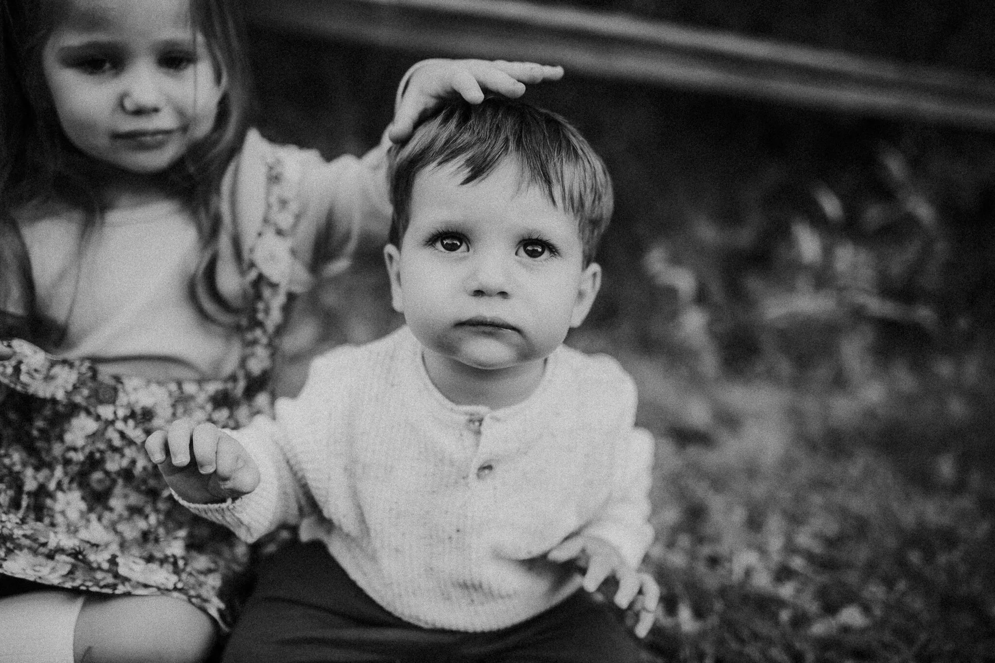 milwaukee family photographer-1-5.jpg