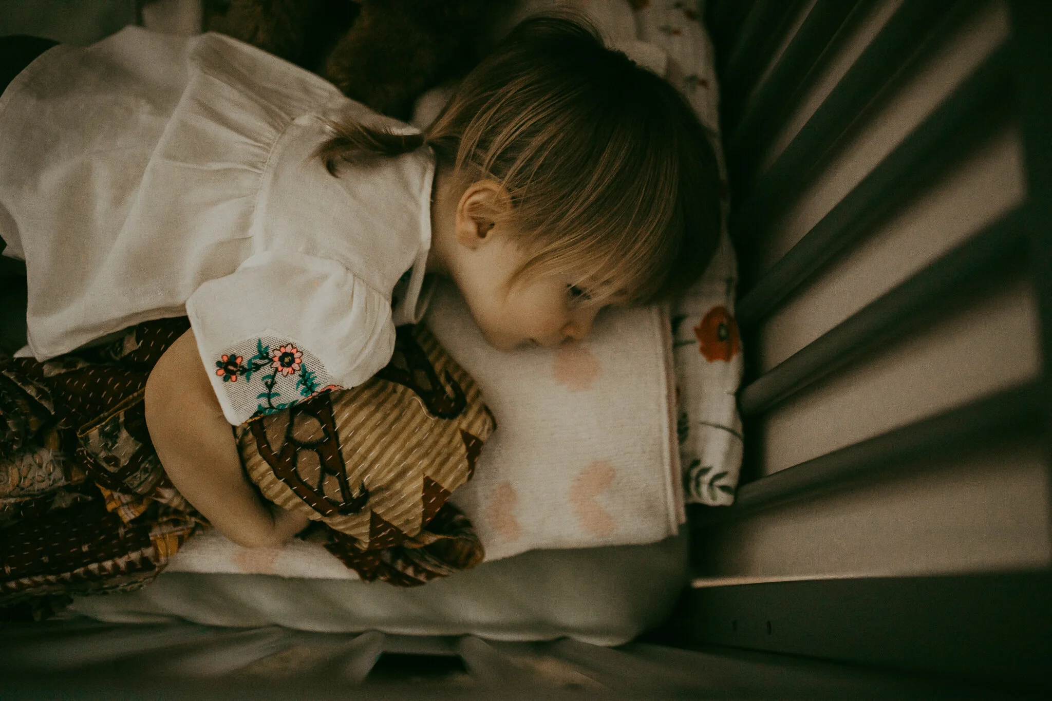 milwaukee family photographer-3.jpg