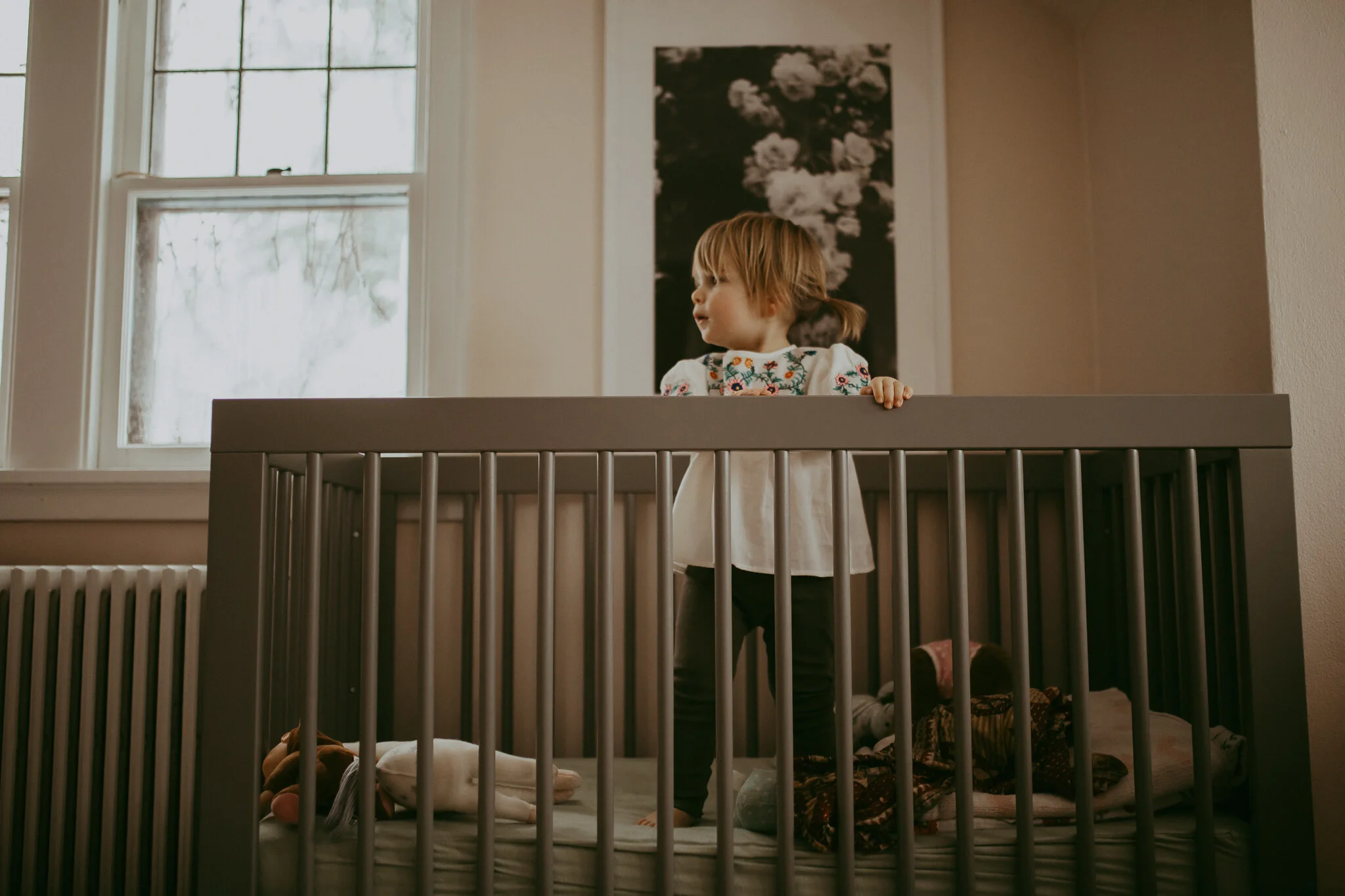 milwaukee family photographer-4.jpg