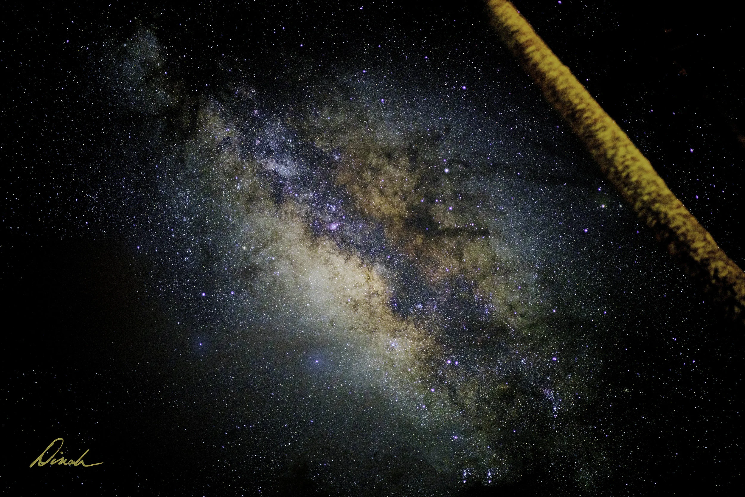MilkyWay Trunk web.jpg