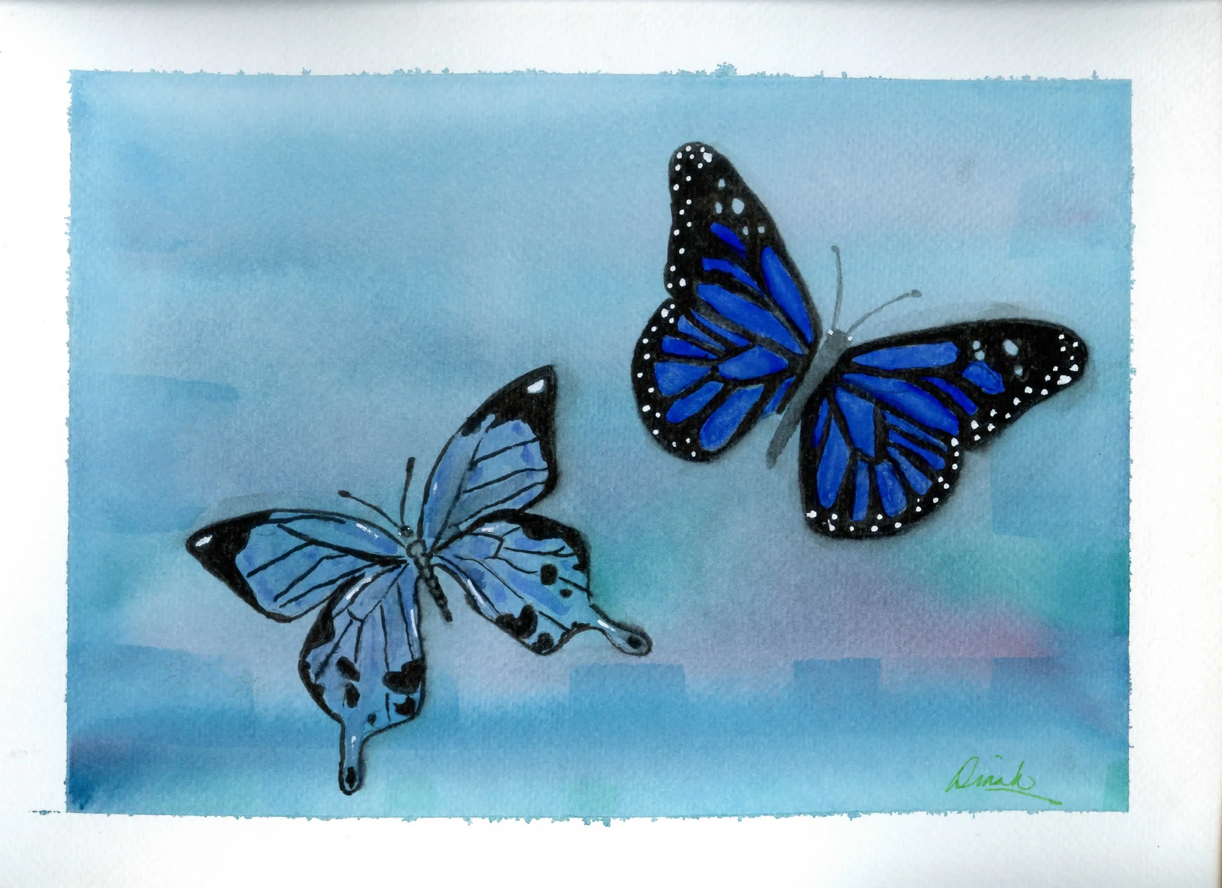 Stewart-Butterfly18Wx10H003.jpg