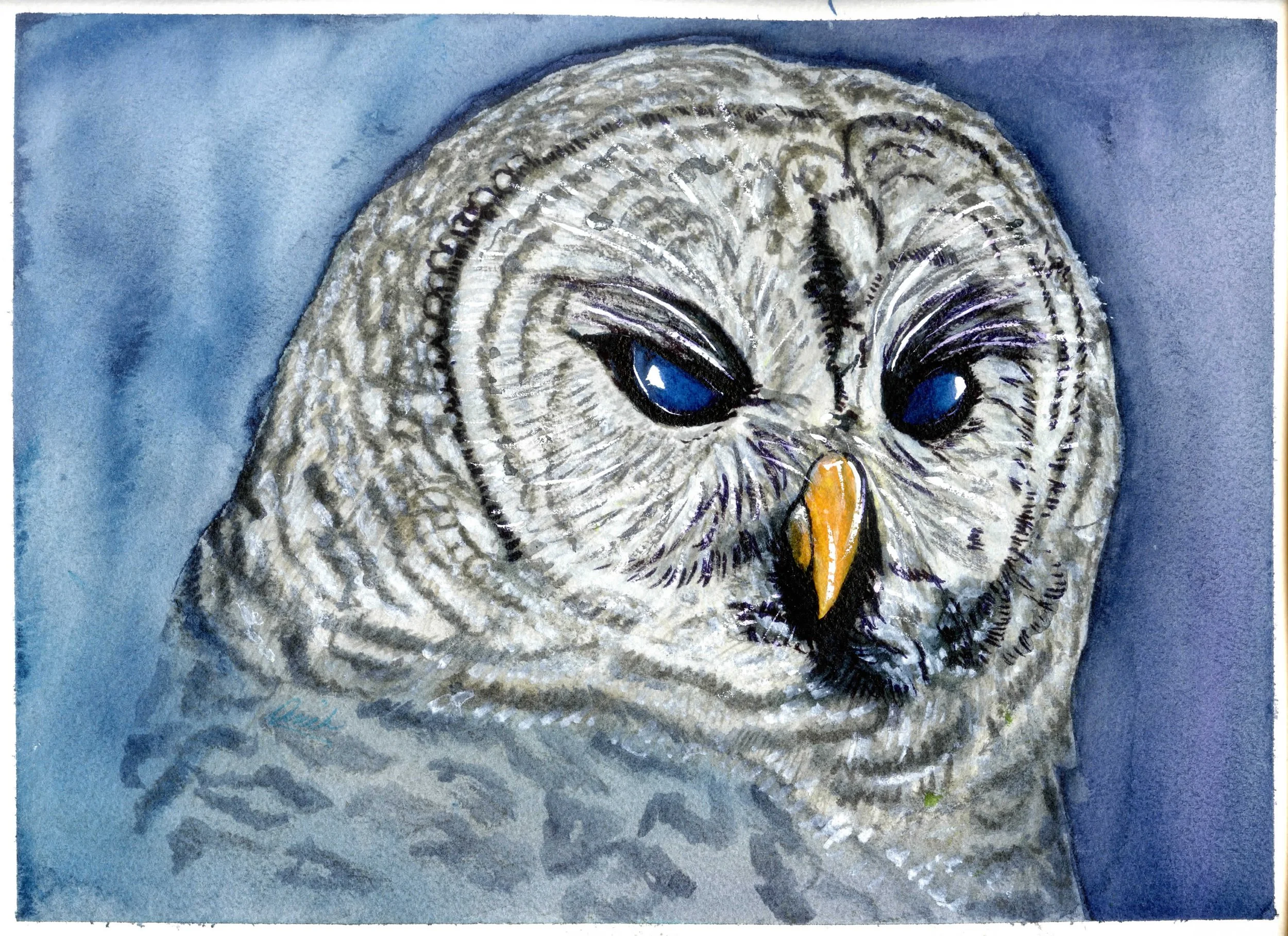 Stewart-Owl8Wx10H001 copy.jpg